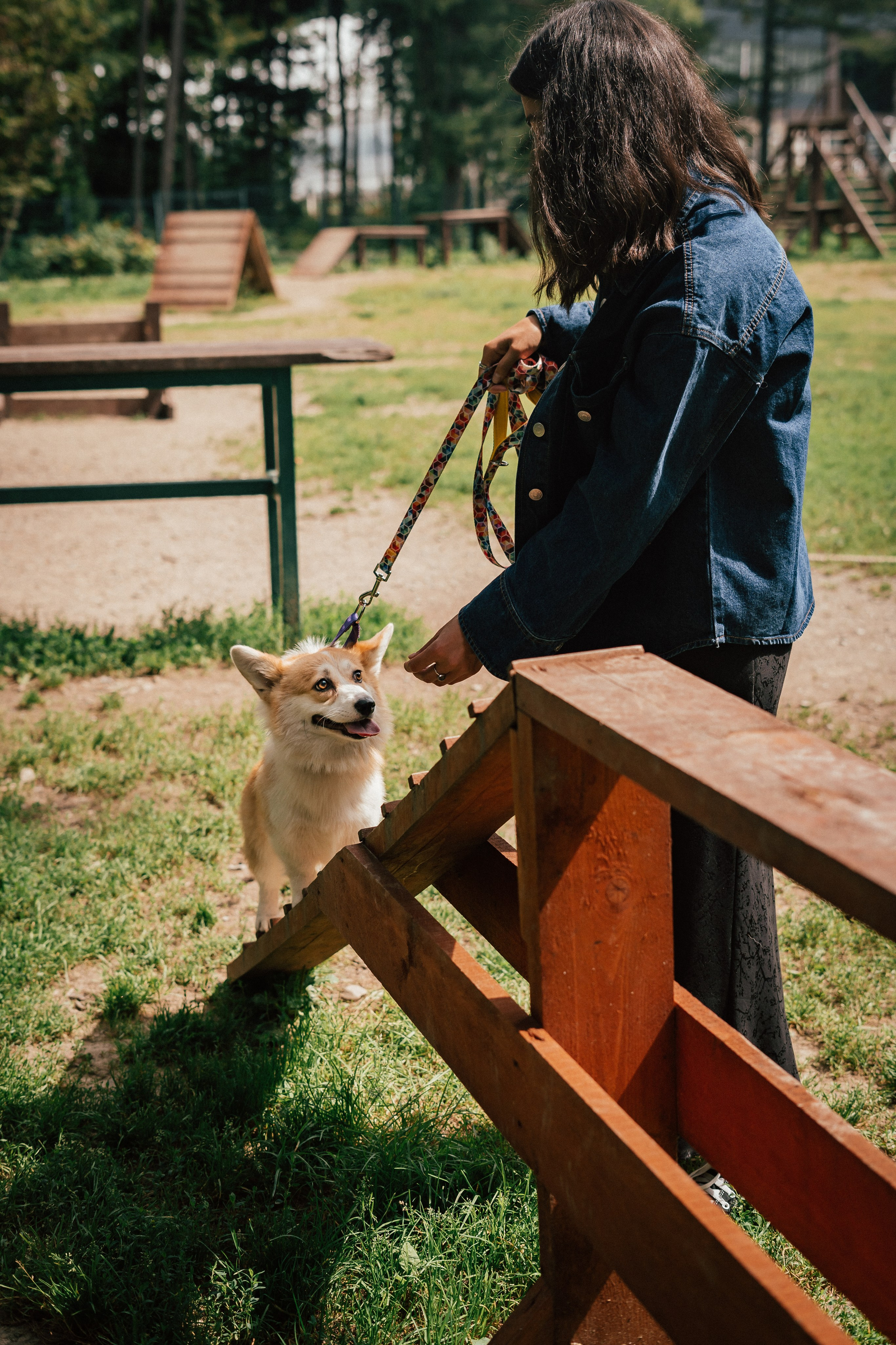 Фотосессия с собакой сахалин. Фотограф сахалин