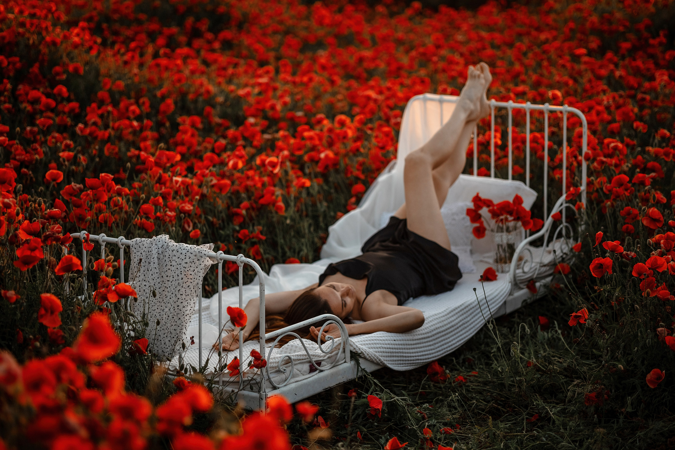 Яркие маки. Художественный фотограф Анапа Александра Долбикова