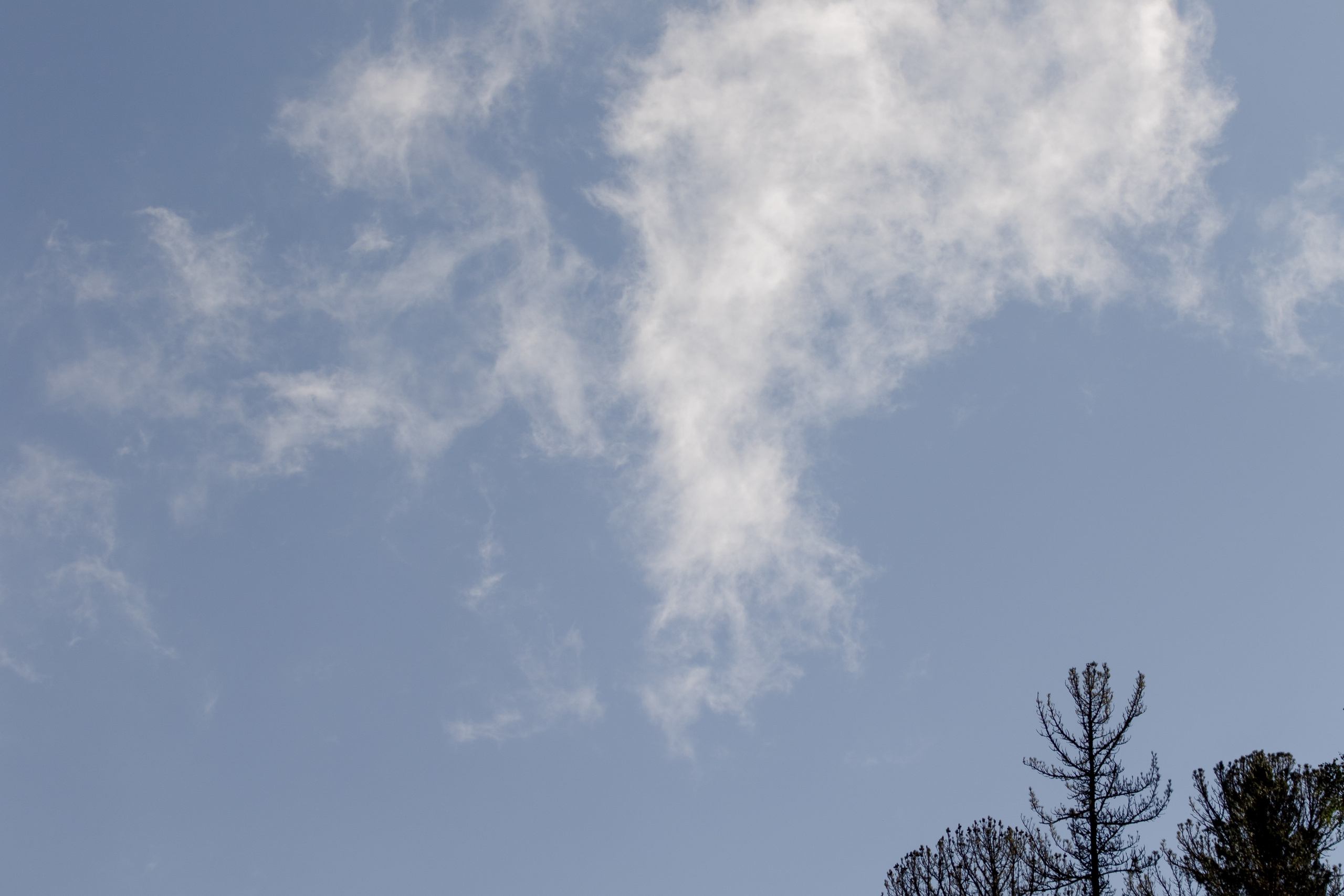 Фототур Кия. Фотограф Кирилл Мешков Кемерово