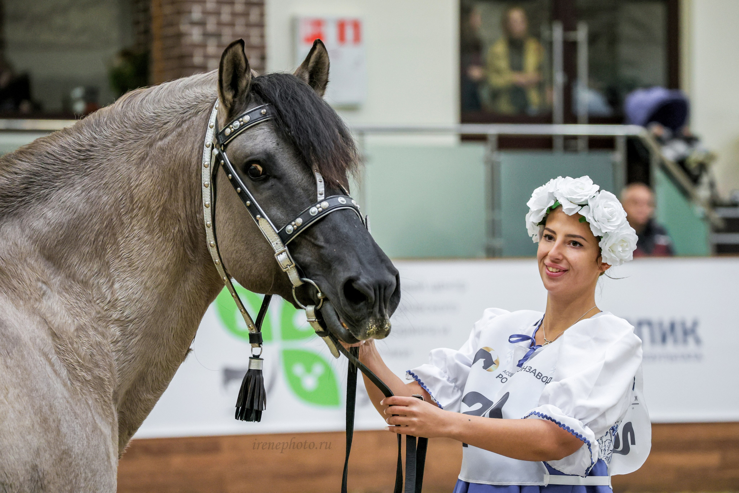 Конная Россия 2024. Irenephoto.ru