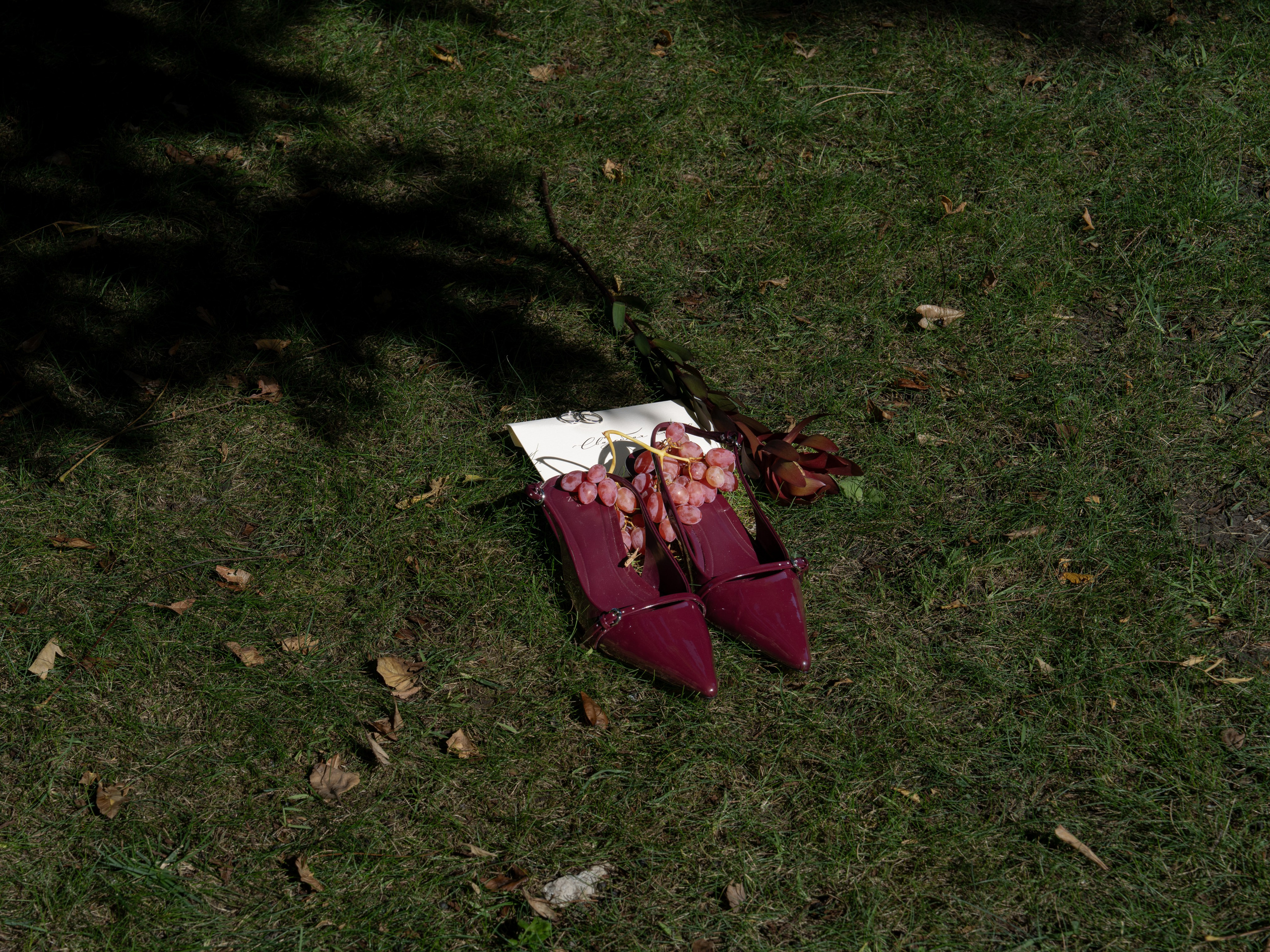 Свадебная прогулка. Свадебный фотограф Виктория Роса