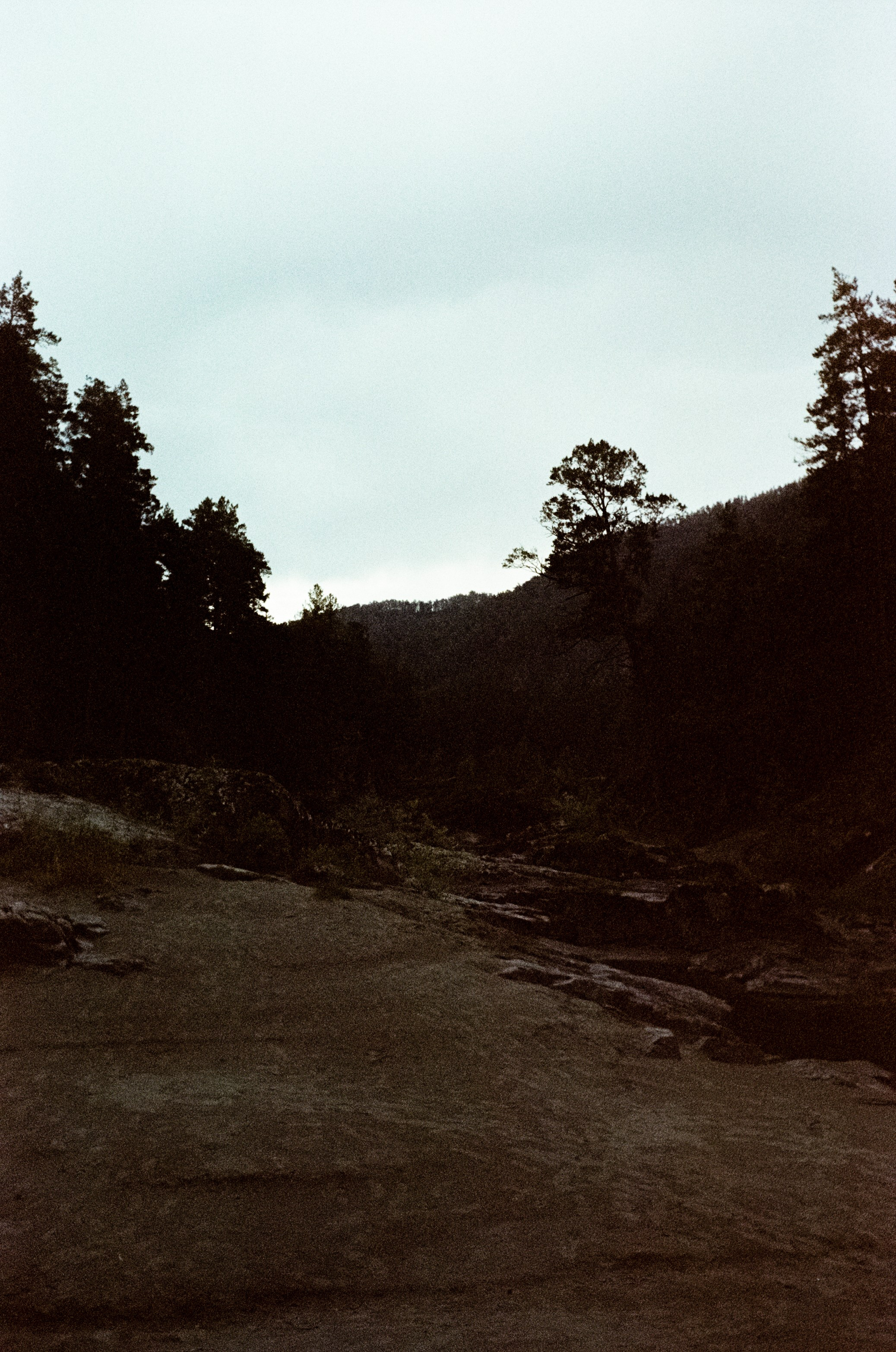 АЛТАЙ осень 2024 / Minox 35 GT (2) / Kodak Ultra Gold 400 24К (просрочка)