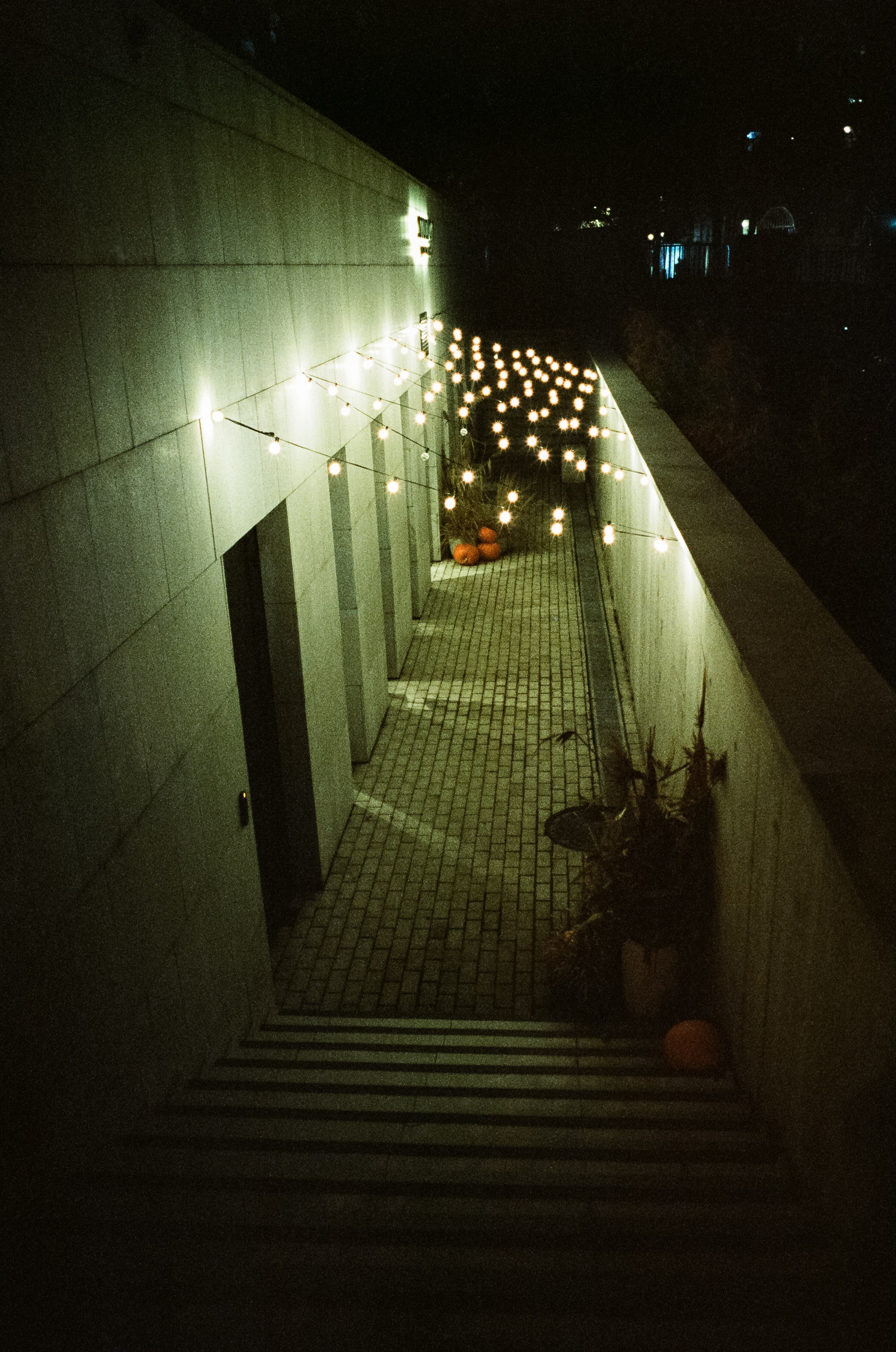 Малая Грузинская, Садовое, Петровка / Voigtlander BESSA-T — Ultron 28 mm f/2 / SFL 500T