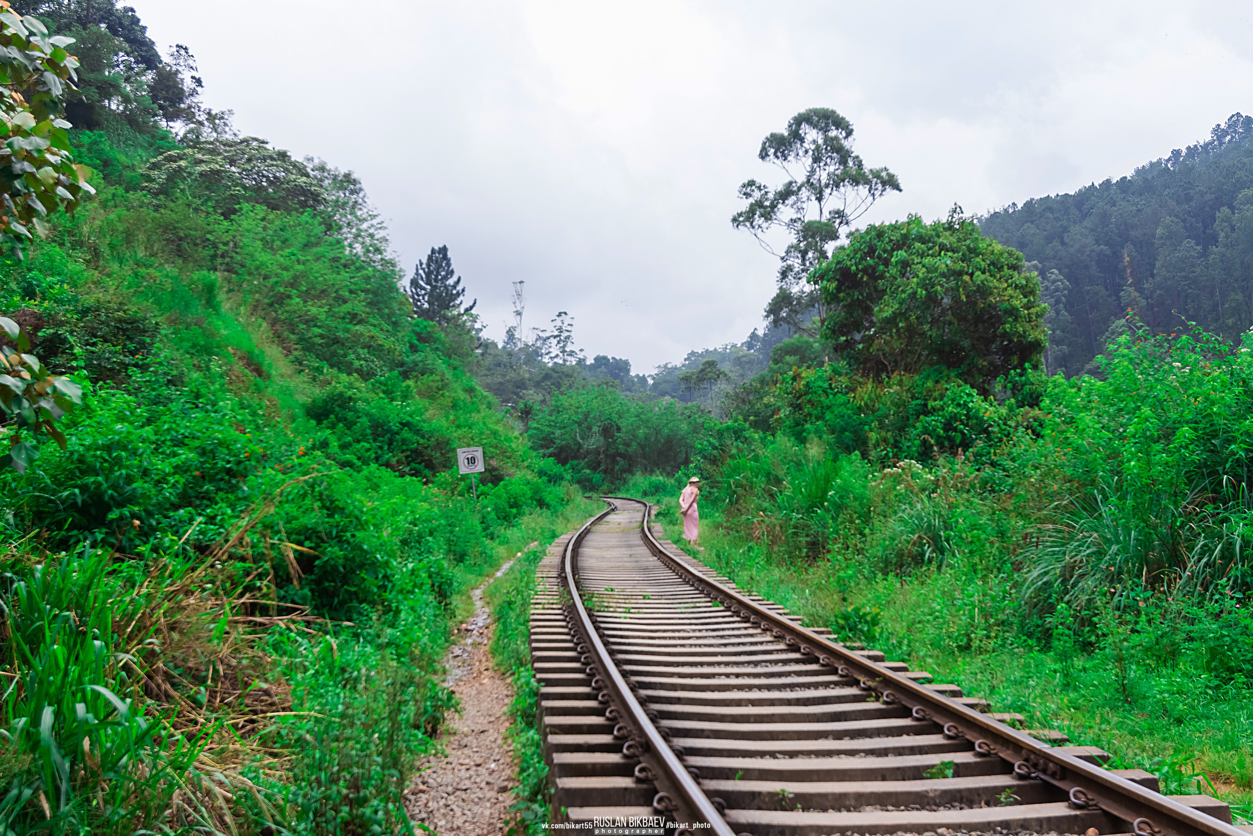 ШРИ-ЛАНКА 2025 / SRI LANKA 2025. Главная