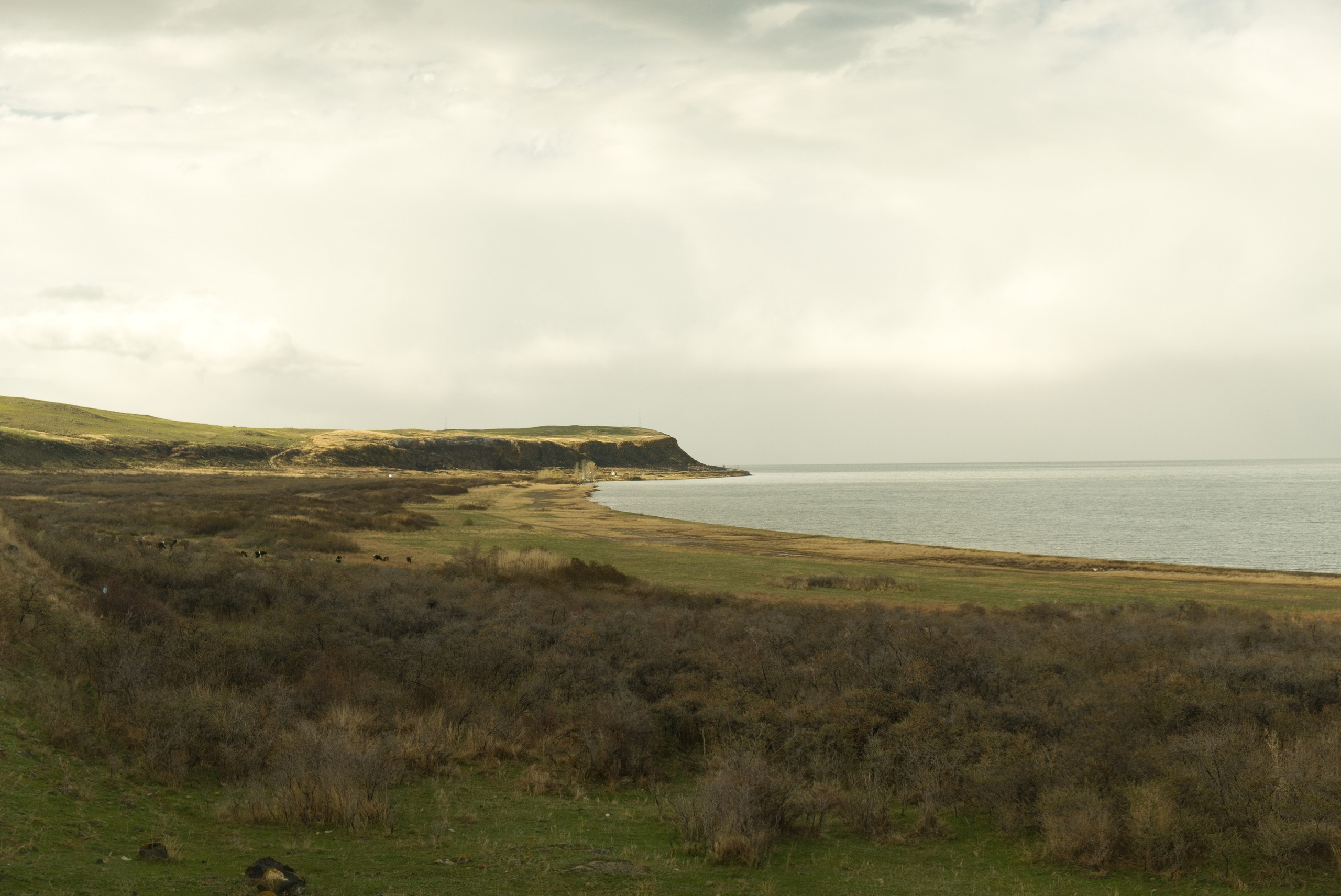 Sevan