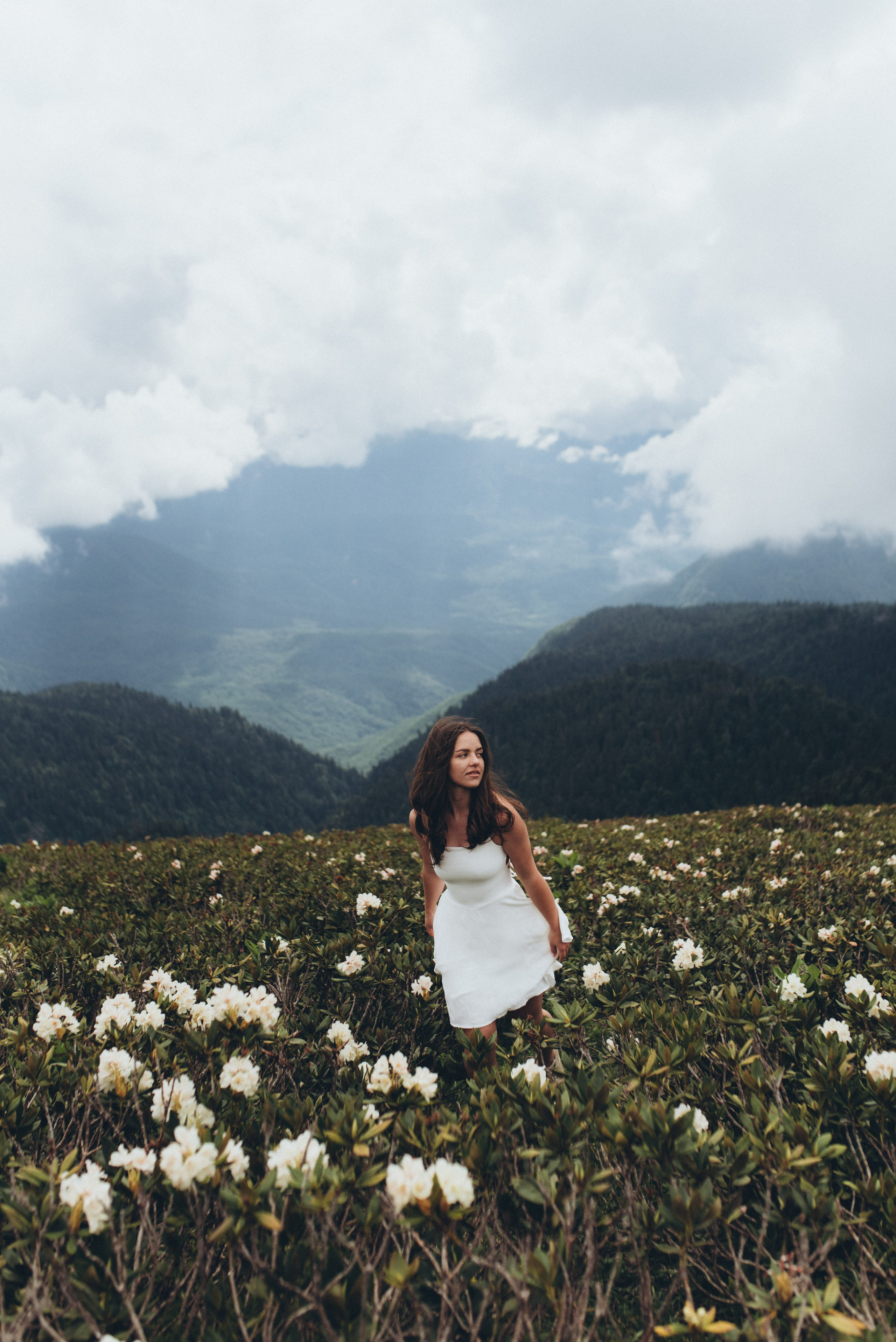 Фотосессия в горах Красной поляна Сочи цветение рододендрона. Фотограф в Сочи — Маргарита Поганова