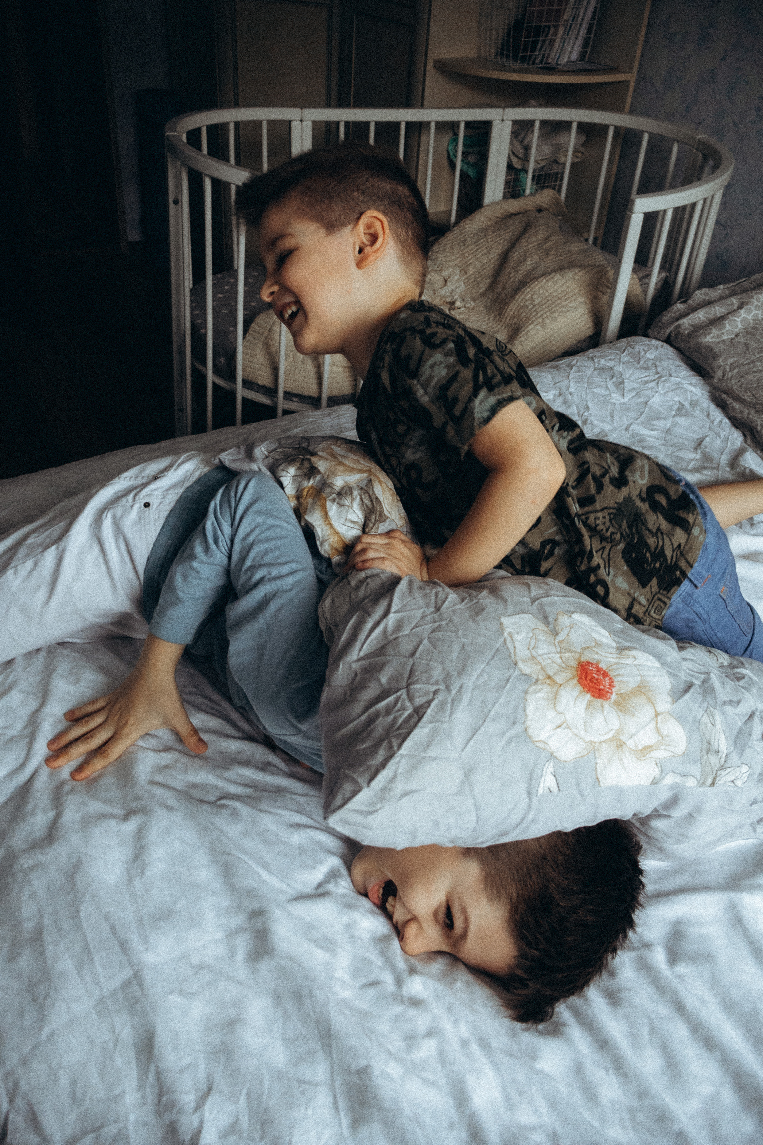 Динозаврики. Фотограф Москва Алёна Суворова