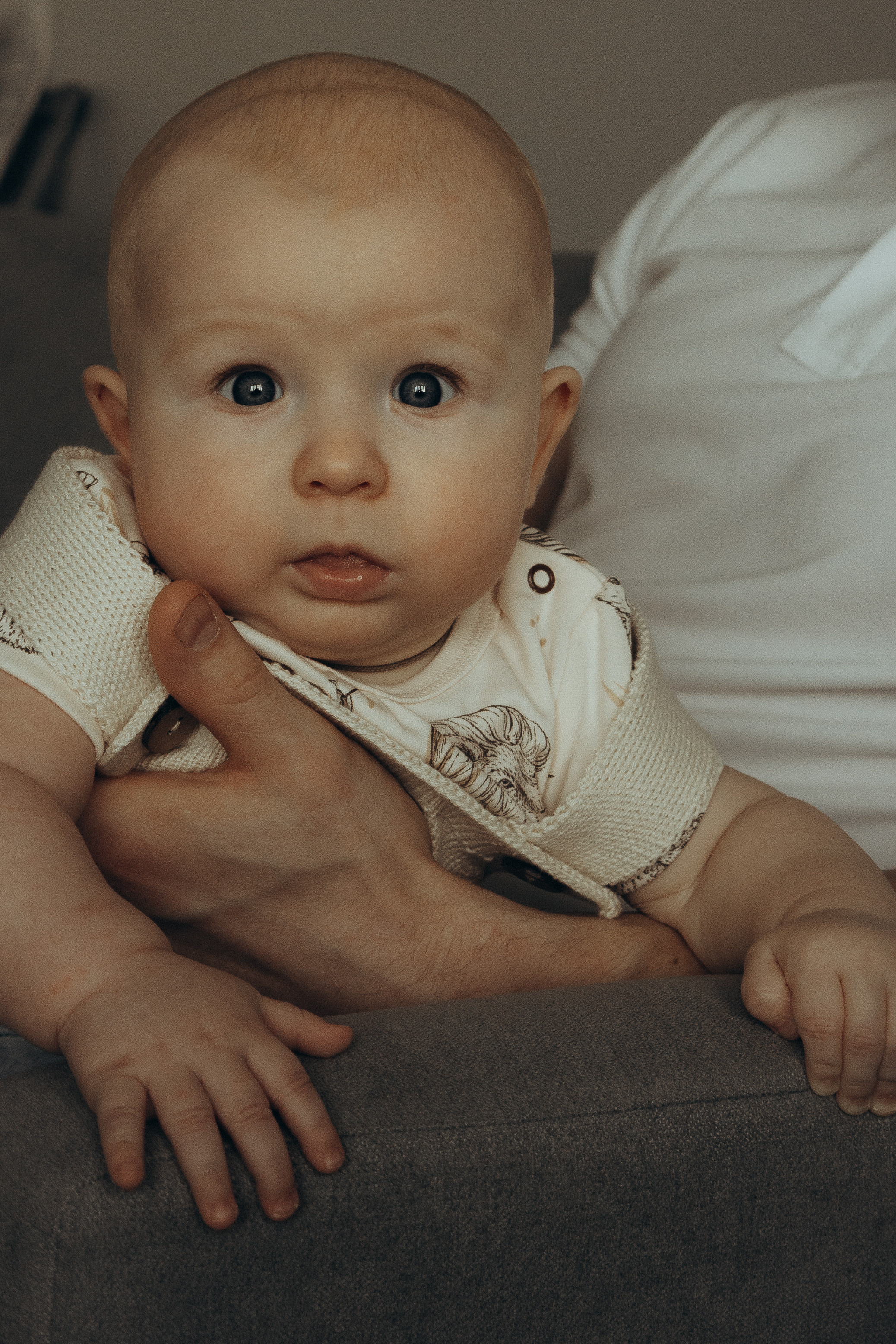 Все вместе. Фотограф Москва Алёна Суворова