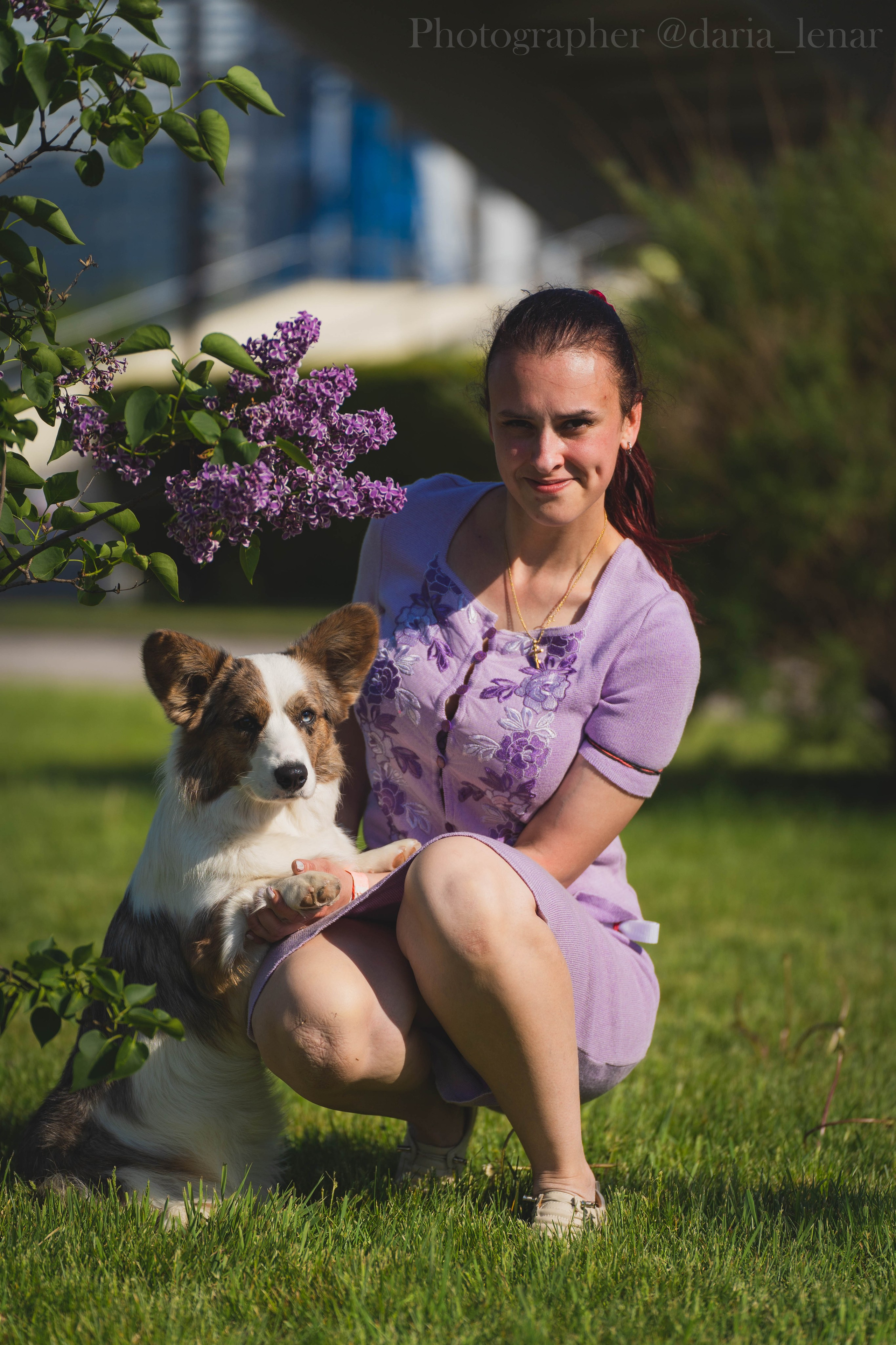 Выставки собак. Фотограф в Москве Ленарская Дарья