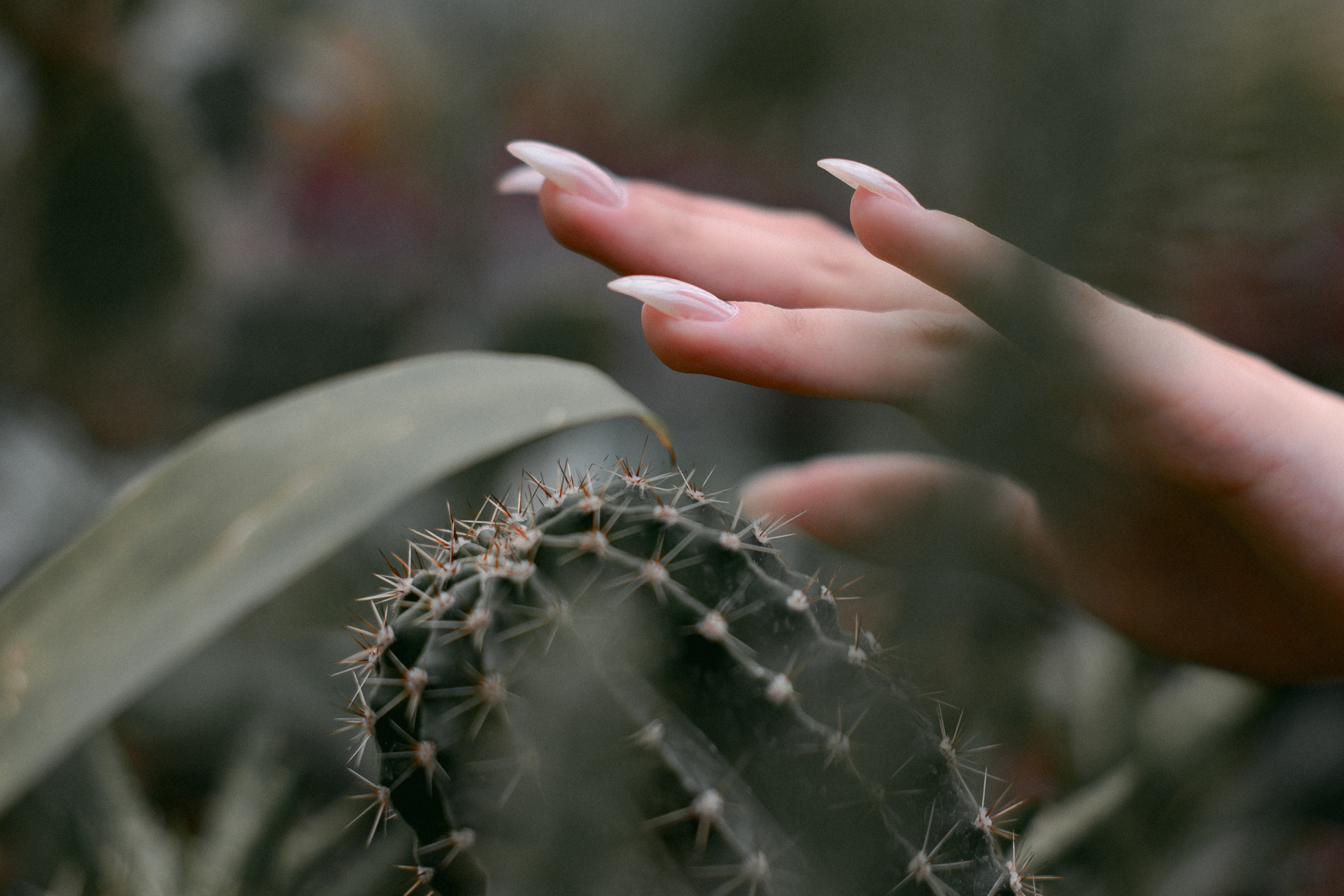 Света. Конек-горбунок. Фотограф в Челябинске Любовь Денисенко