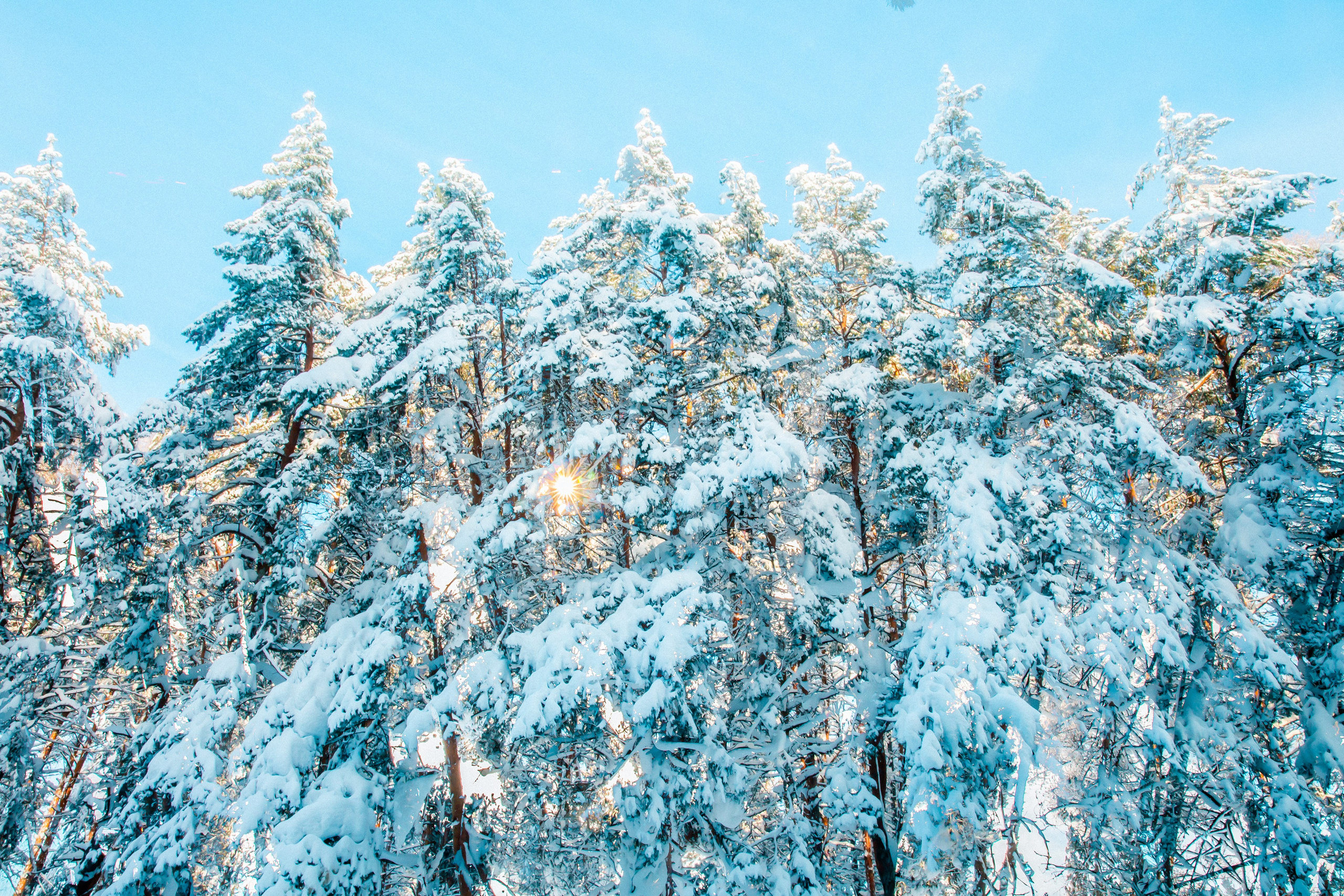 — 29С, 2026. АННА ВЕРСО / ANNA VERSO | Визуальный художник / Visual artist