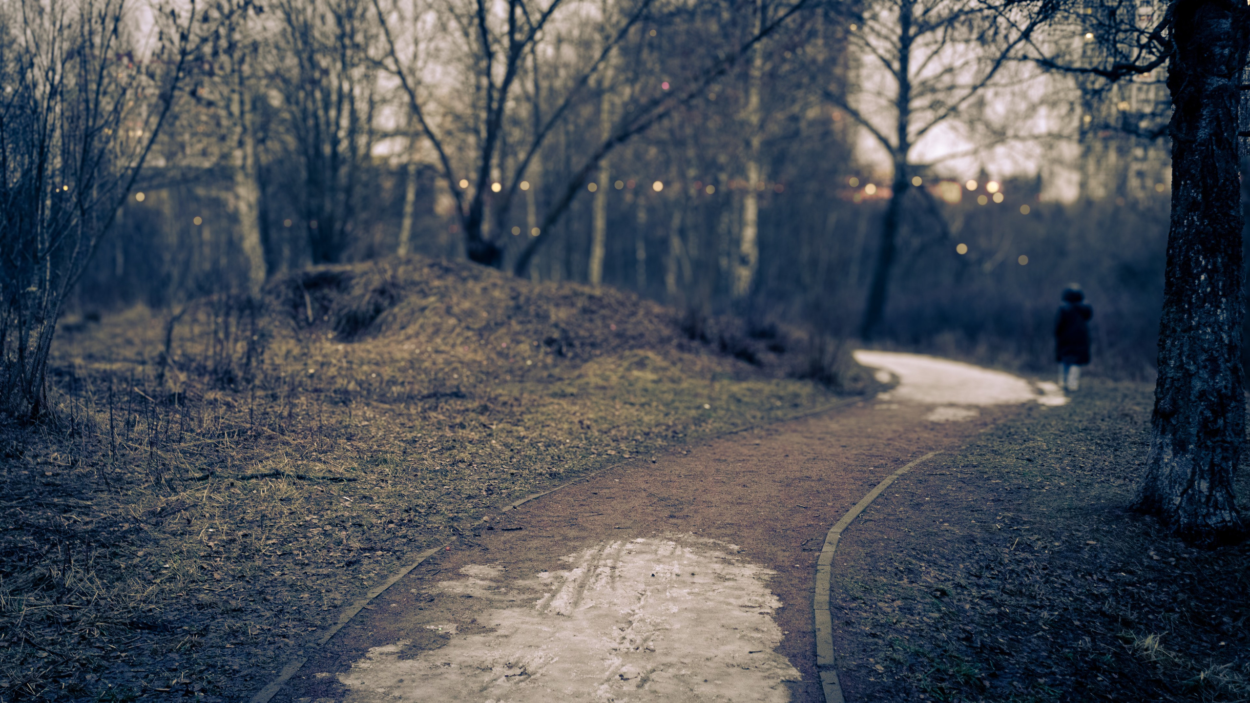 Сырость января 25-го. ПОБУДЬ ЗДЕСЬ И ЦЕЛЕЕ БУДЕТ ЭТОТ МИР