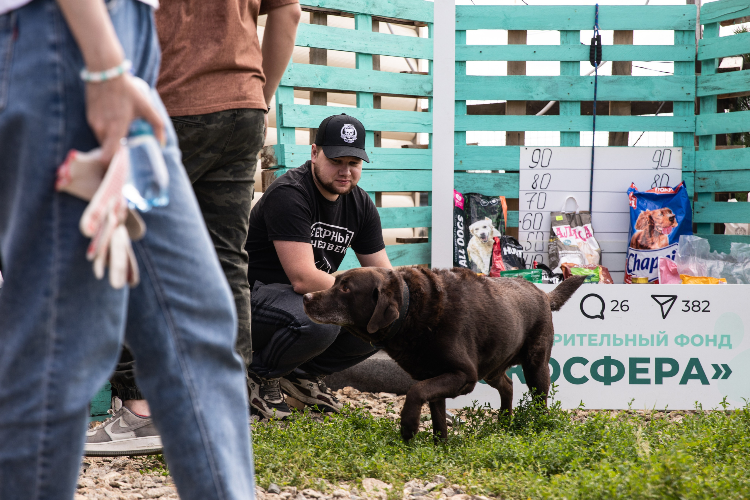 Приют — Наш дом. Репортажный и свадебный фотограф в Челябинске Елисеев Павел