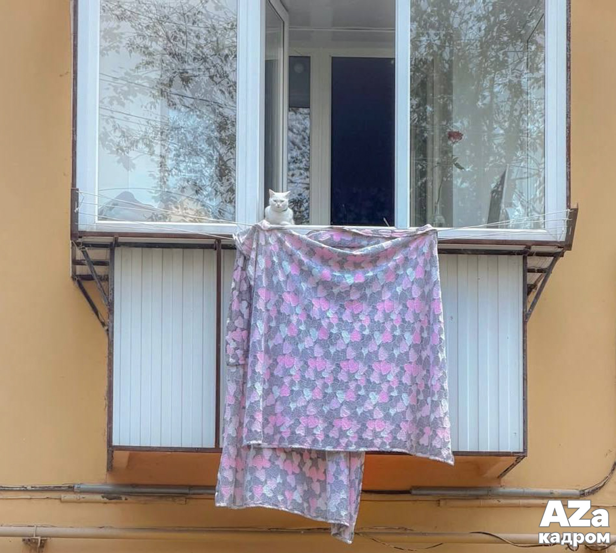 AZакадром «Портрет города»