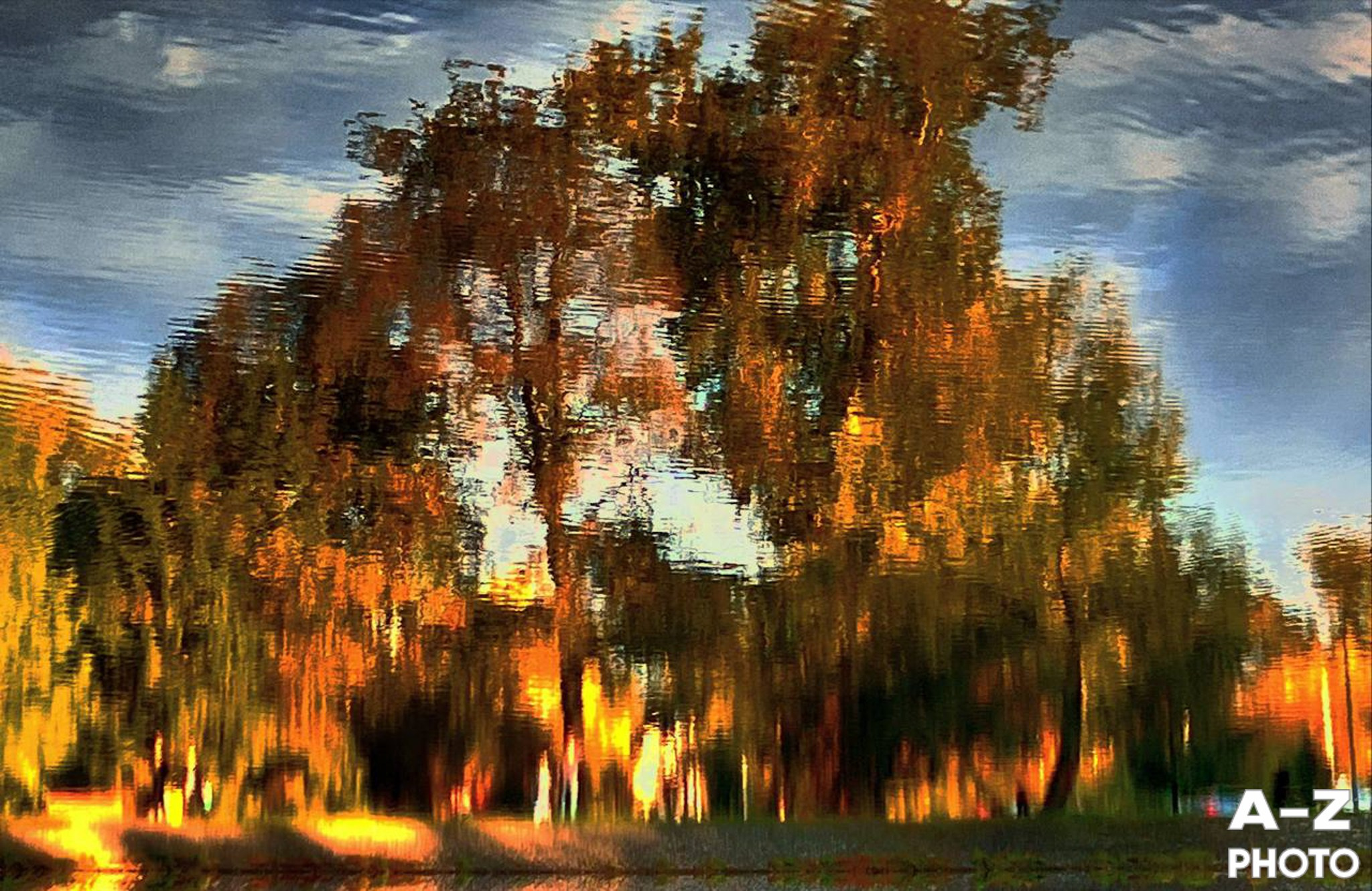 #ФОТОНЕДЕЛИ 14.09.2026