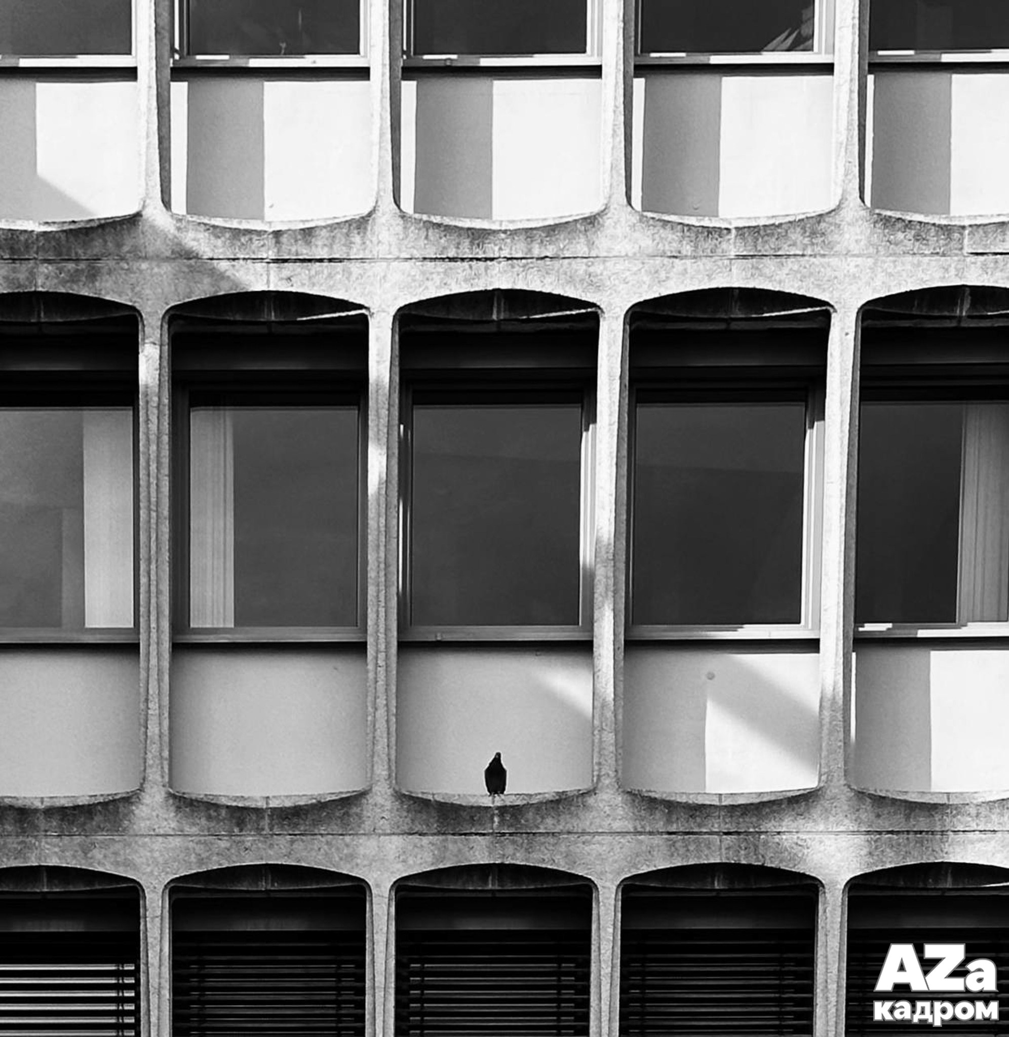 AZакадром «Портрет города»