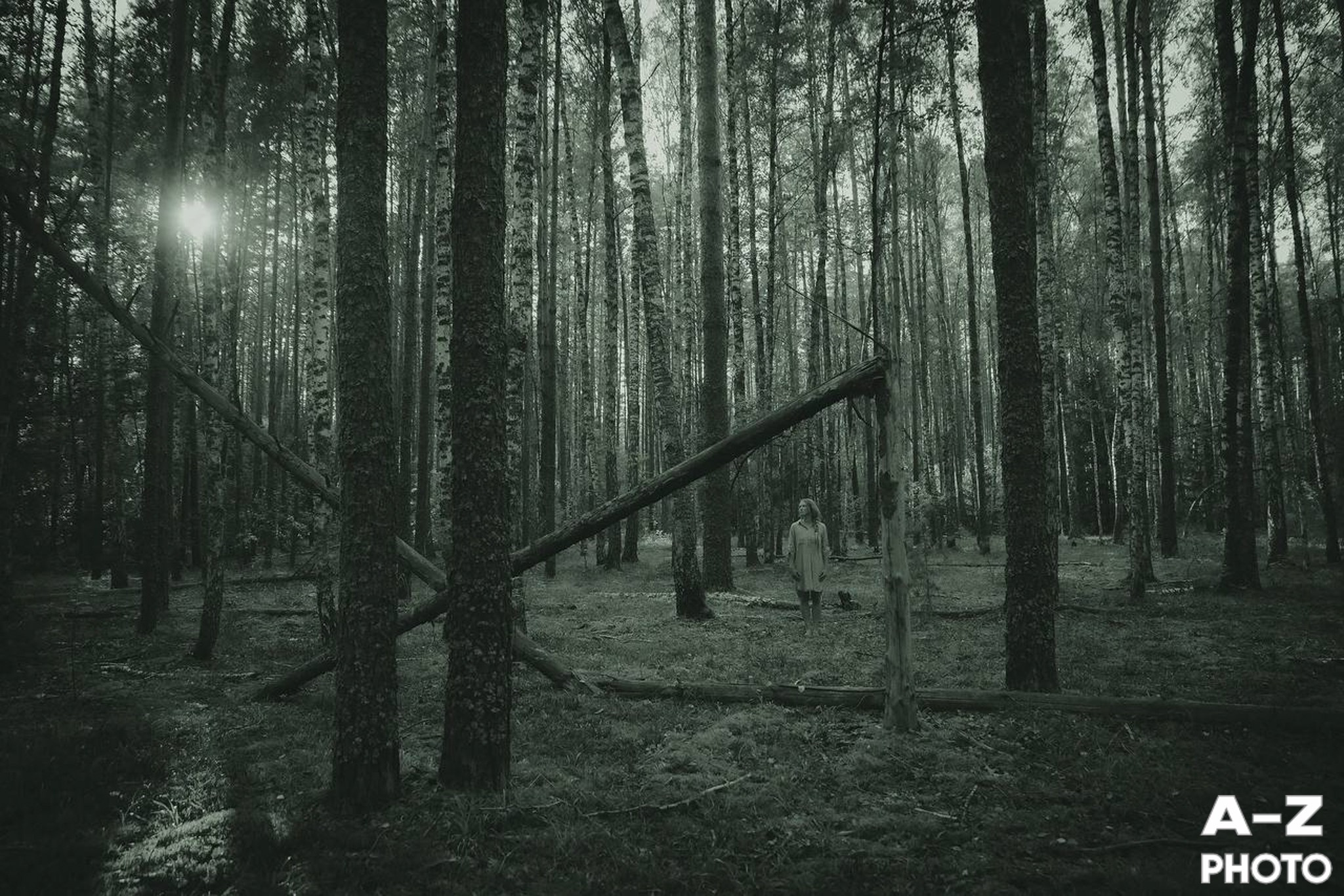 #ФОТОНЕДЕЛИ 24.08.2026