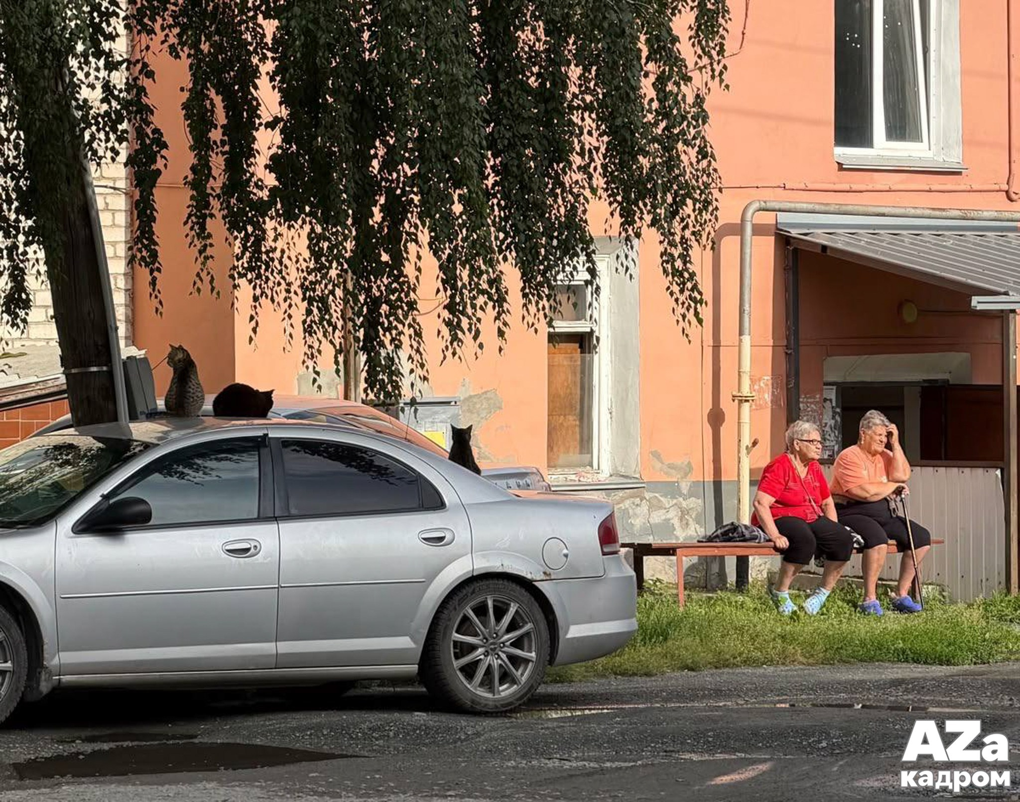 AZакадром «Портрет города»