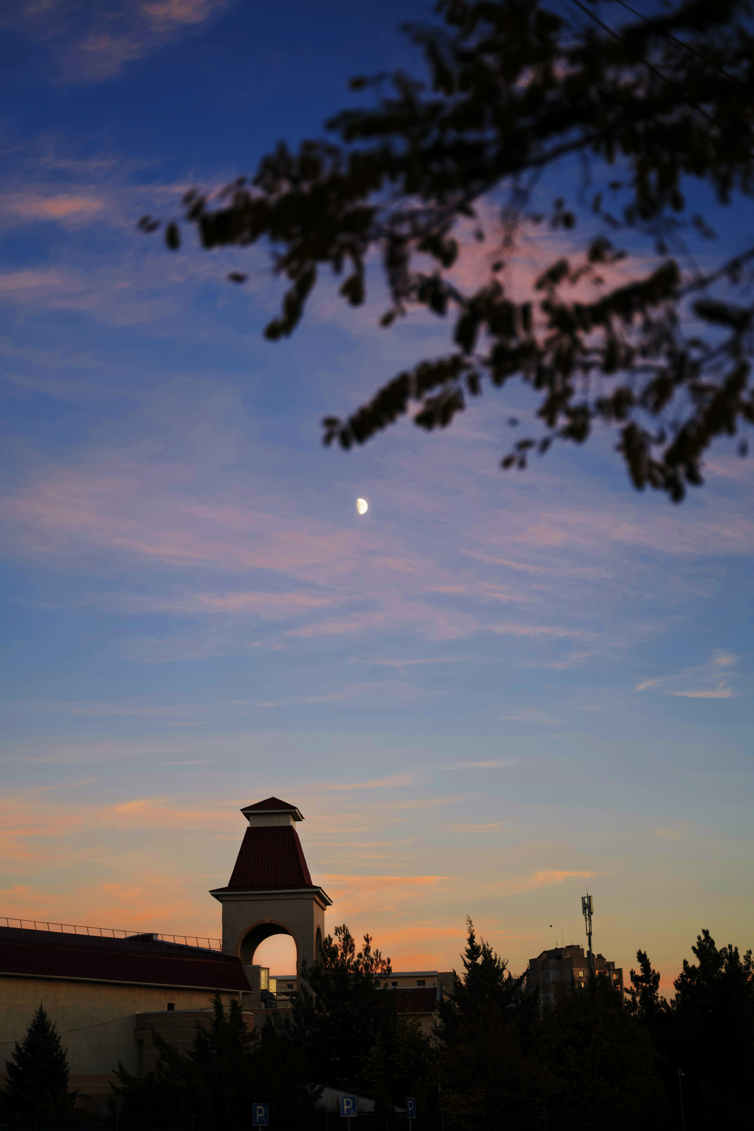 ПРИРОДА. Разноплановый фотограф из Москвы/Твери