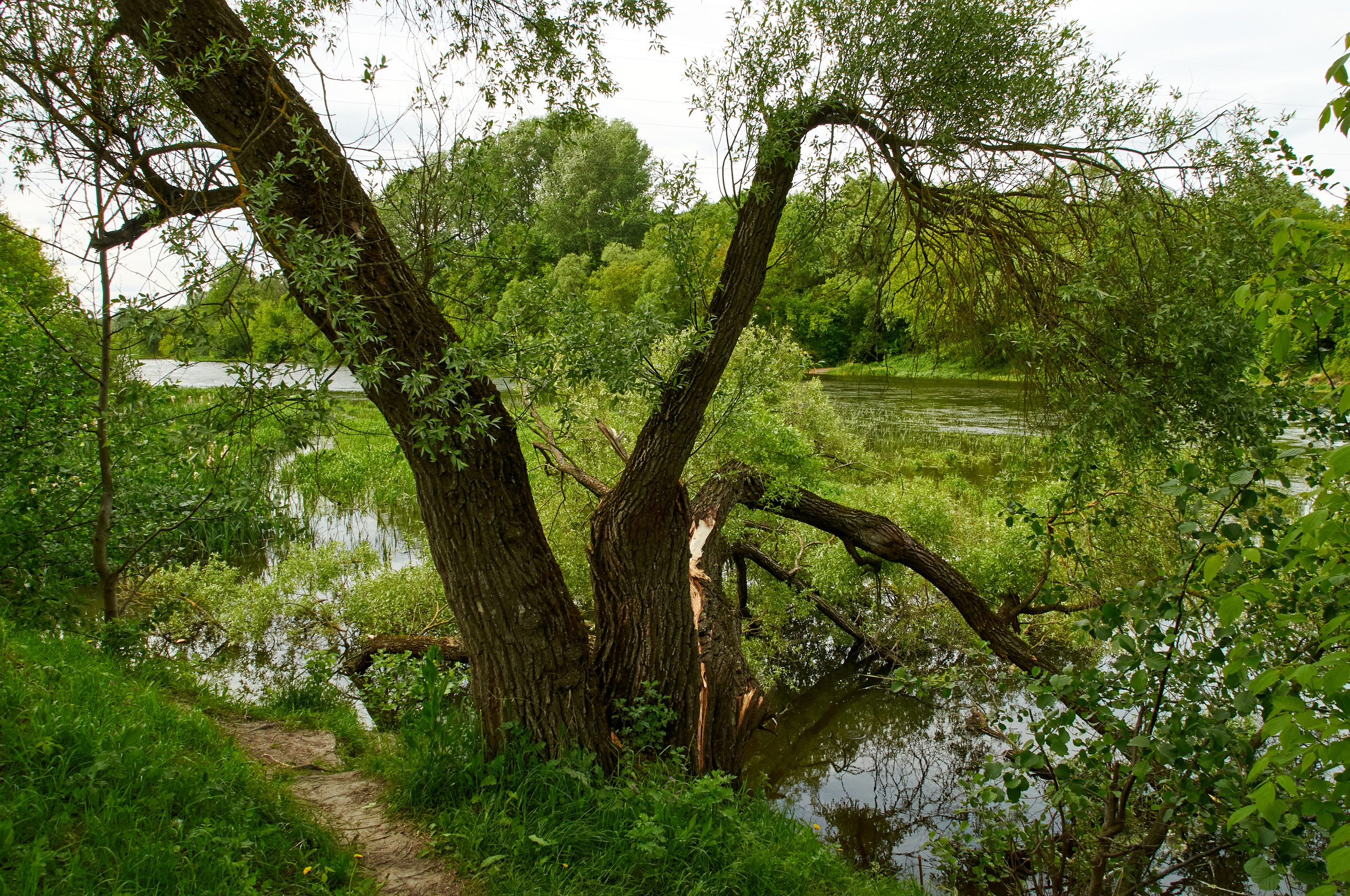 Искусство пейзажа: гармония природы в фотографиях. Координаты красоты — география в фокусе