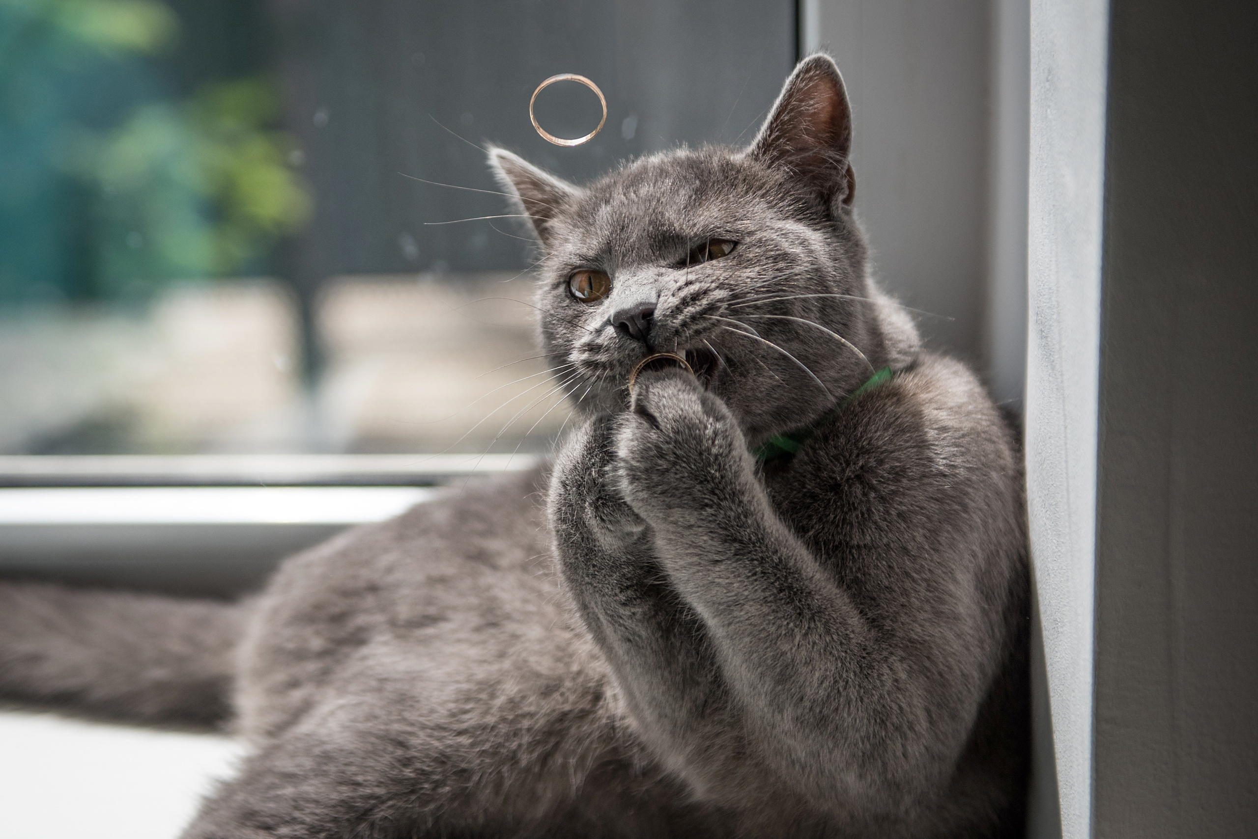 Свадебный фотограф Краснодар