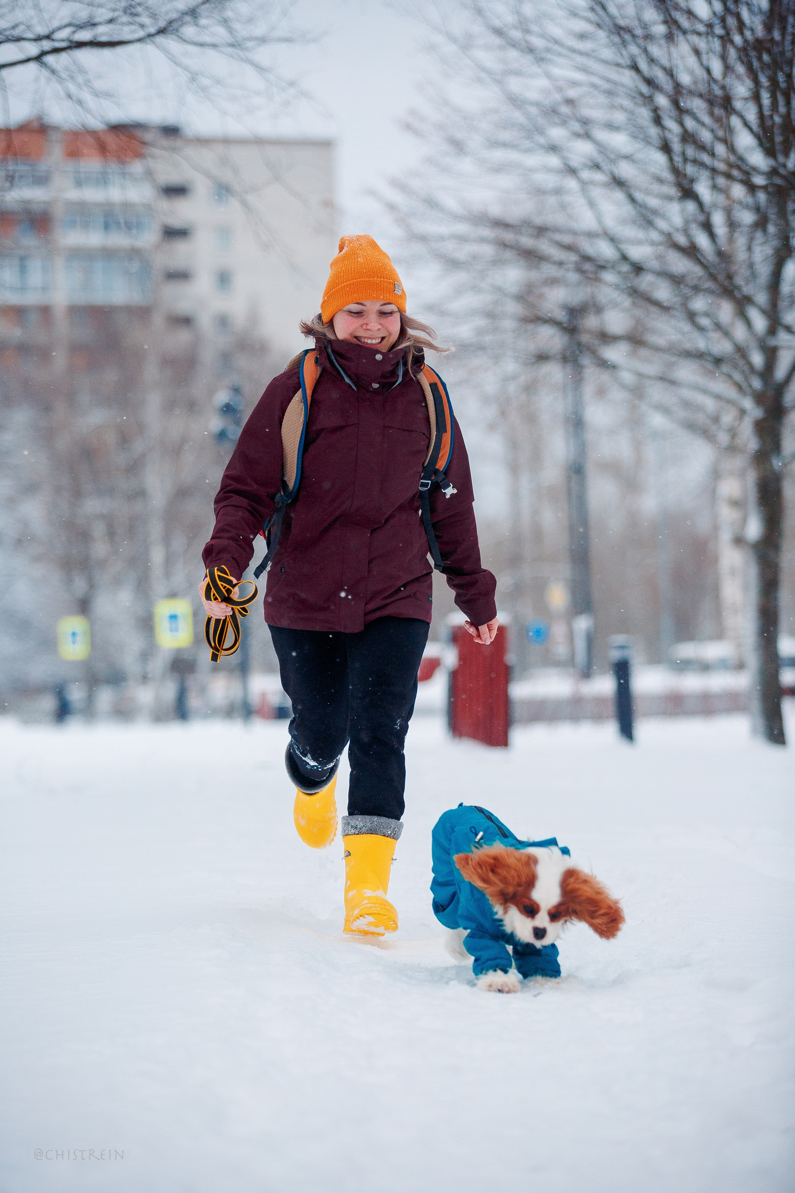 Внезапно апрельская зима. Фотограф-анималист Наталия Чистюхина в г. Сосновый Бор и ЛО