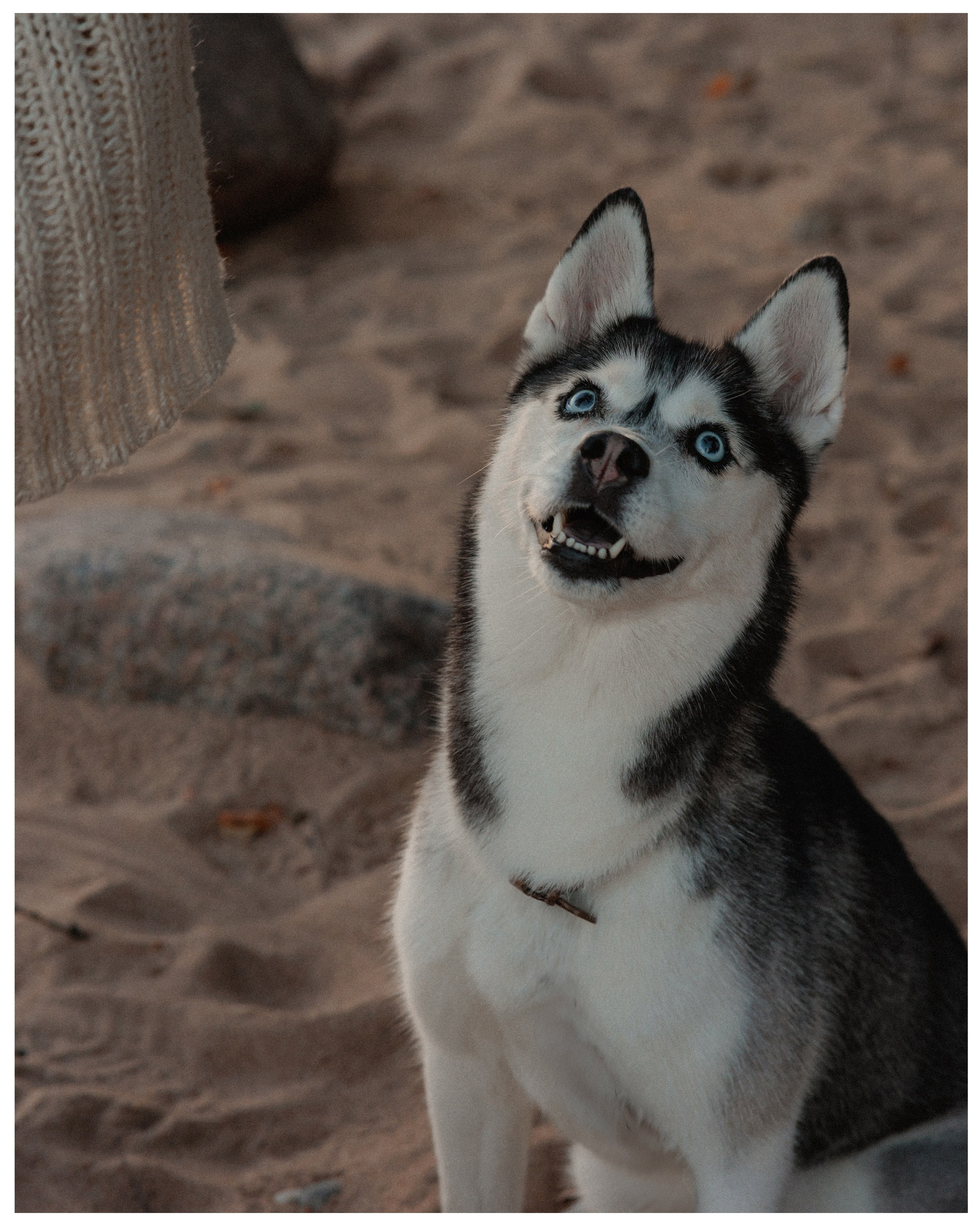 Елена и Эмми. Фотограф в Санкт-Петербурге Алёна Губинская