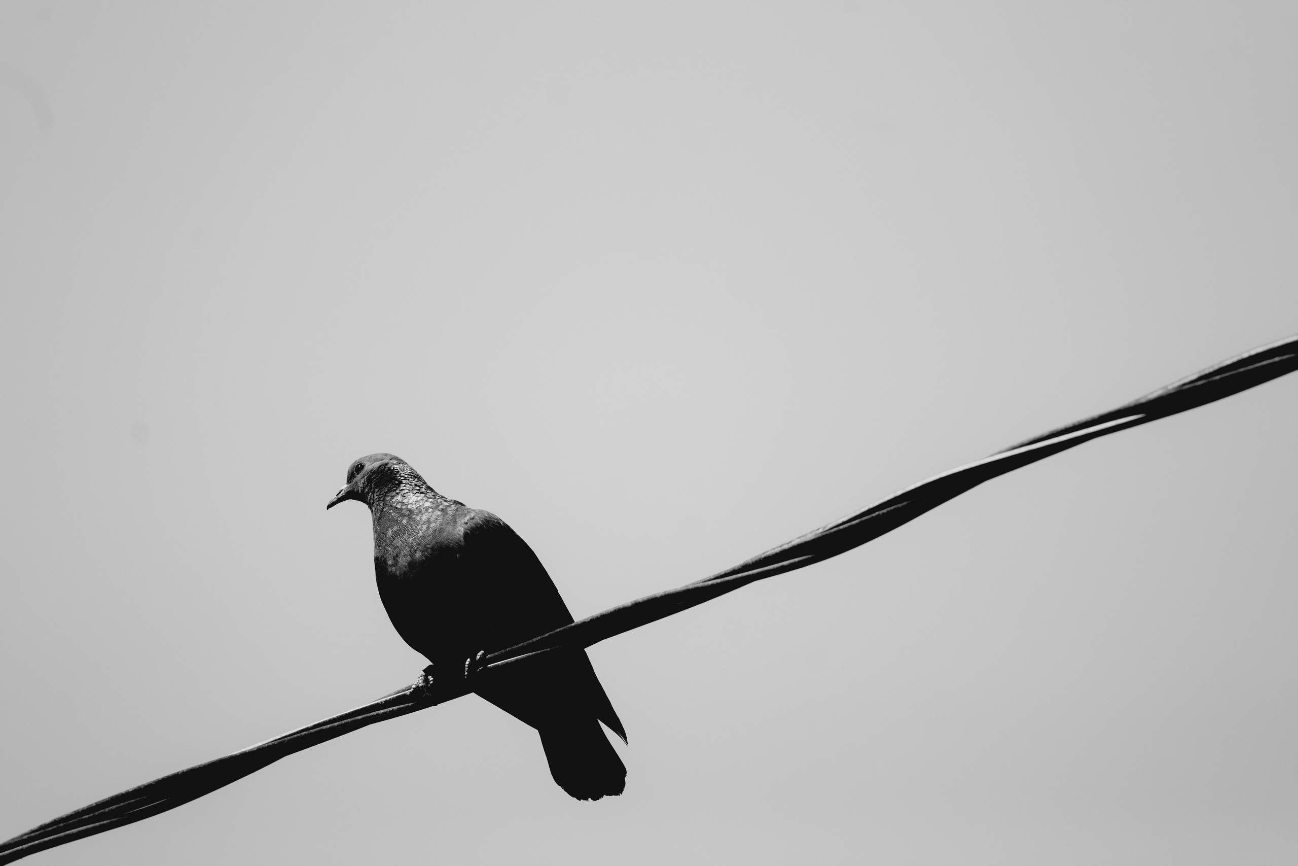 Загородный парк. Фотограф в Самаре Вадим Грязнов