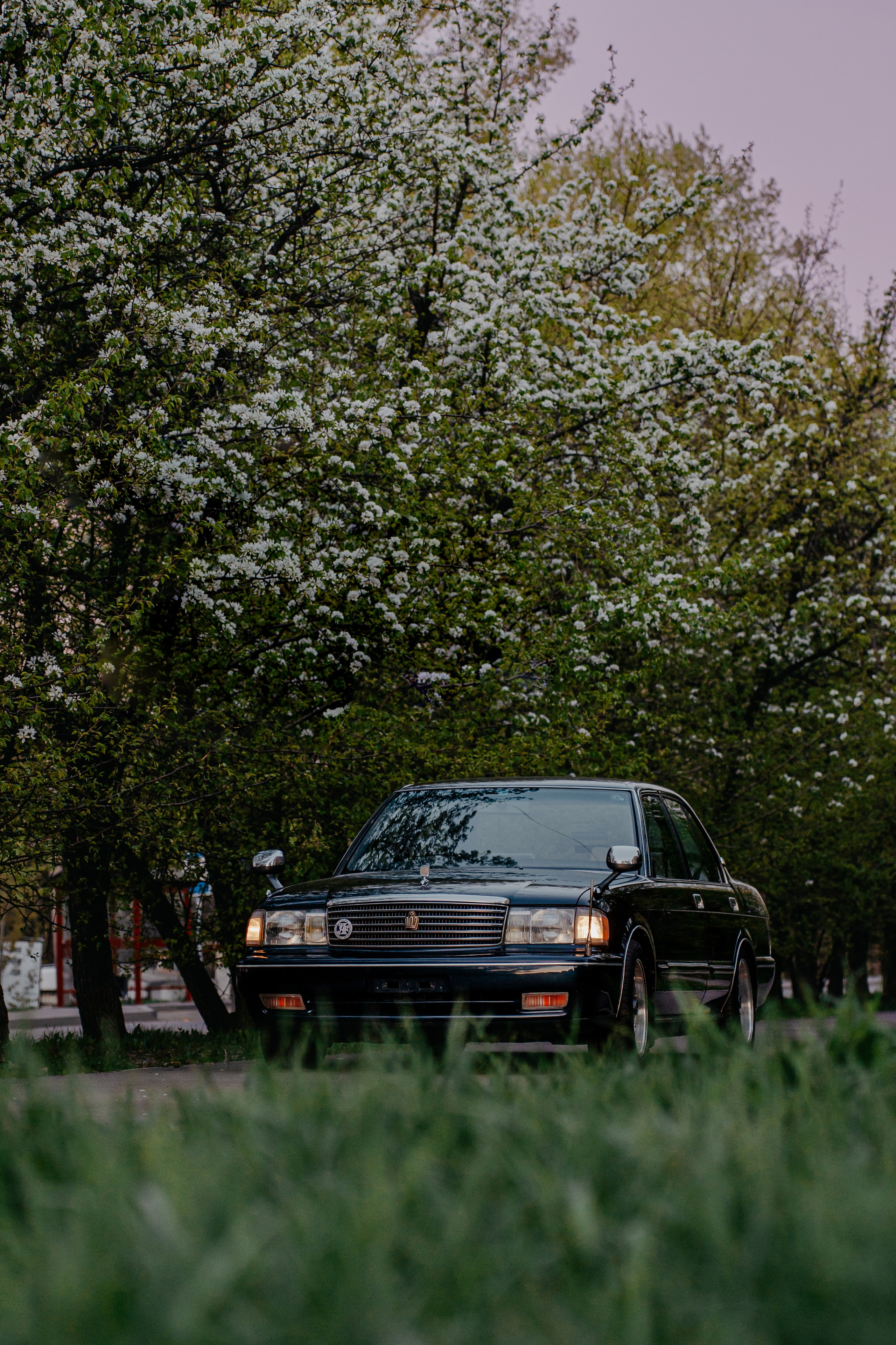Toyota Crown 25'. Фотограф, видеограф и пилот дрона на Байкале