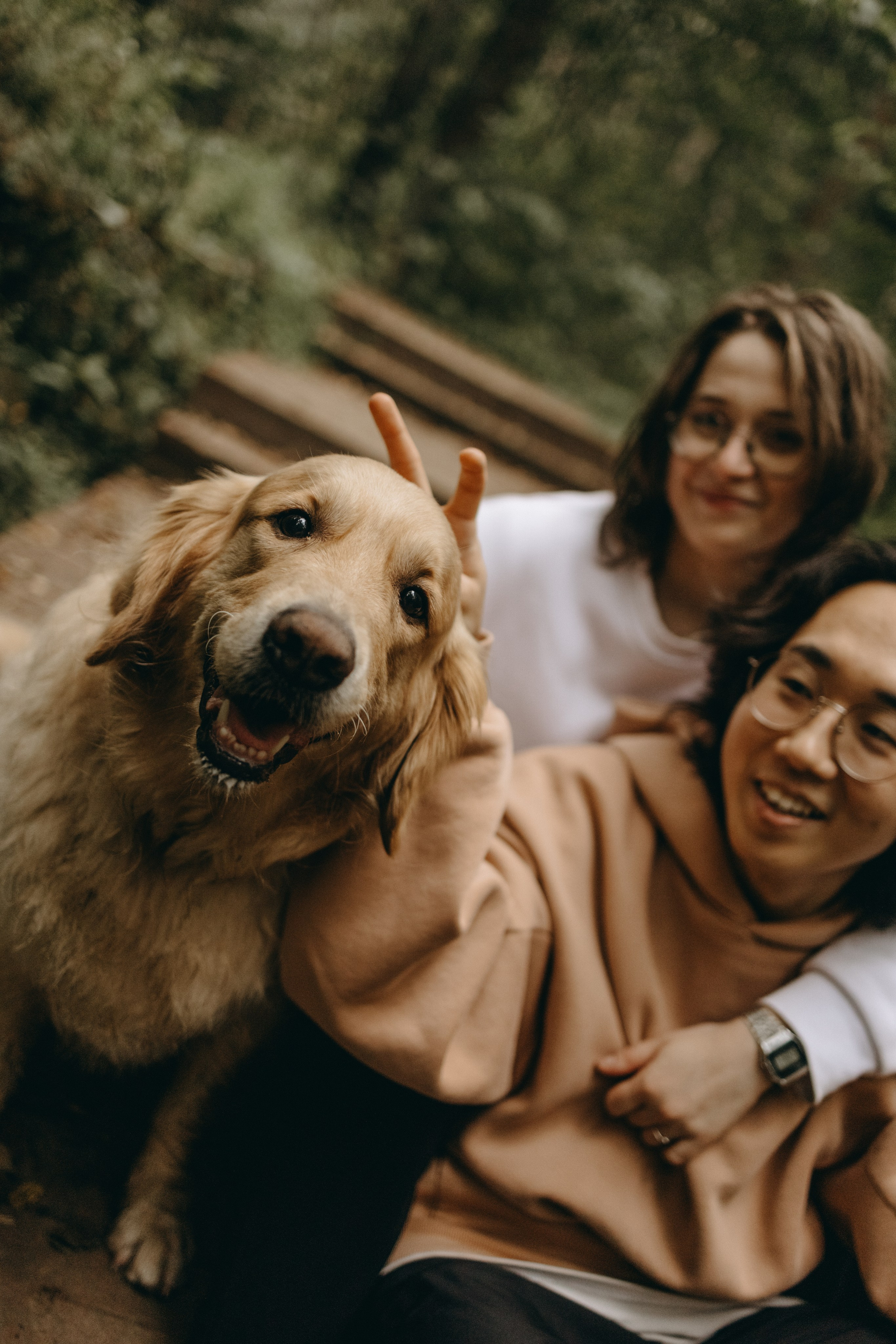 Фоси и его семьи. Фотограф — Анималист | Санкт-Петербург