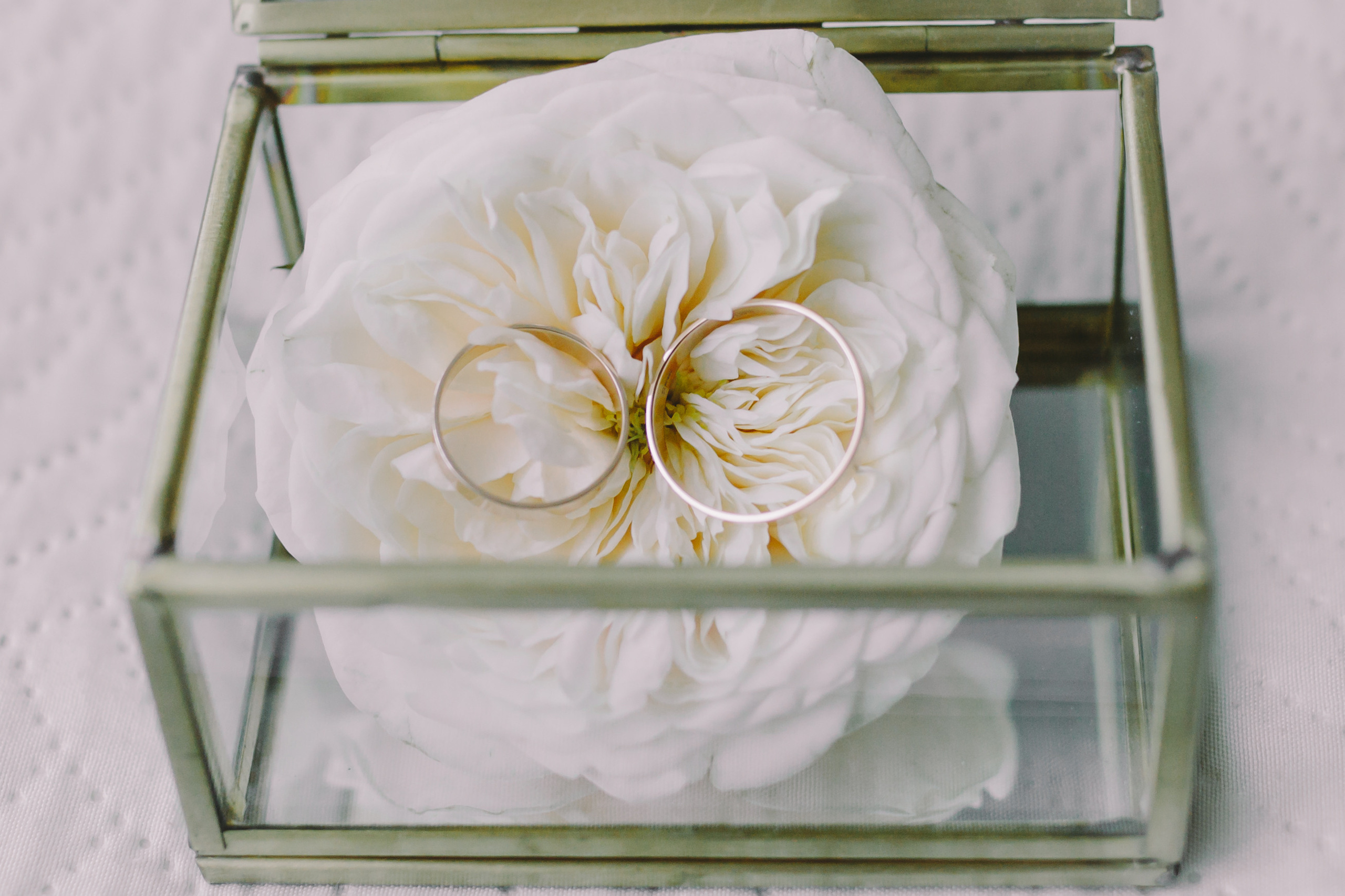 Danil&Tatyana. Свадебный /Семейный фотограф в Краснодарском крае Лилия Комар