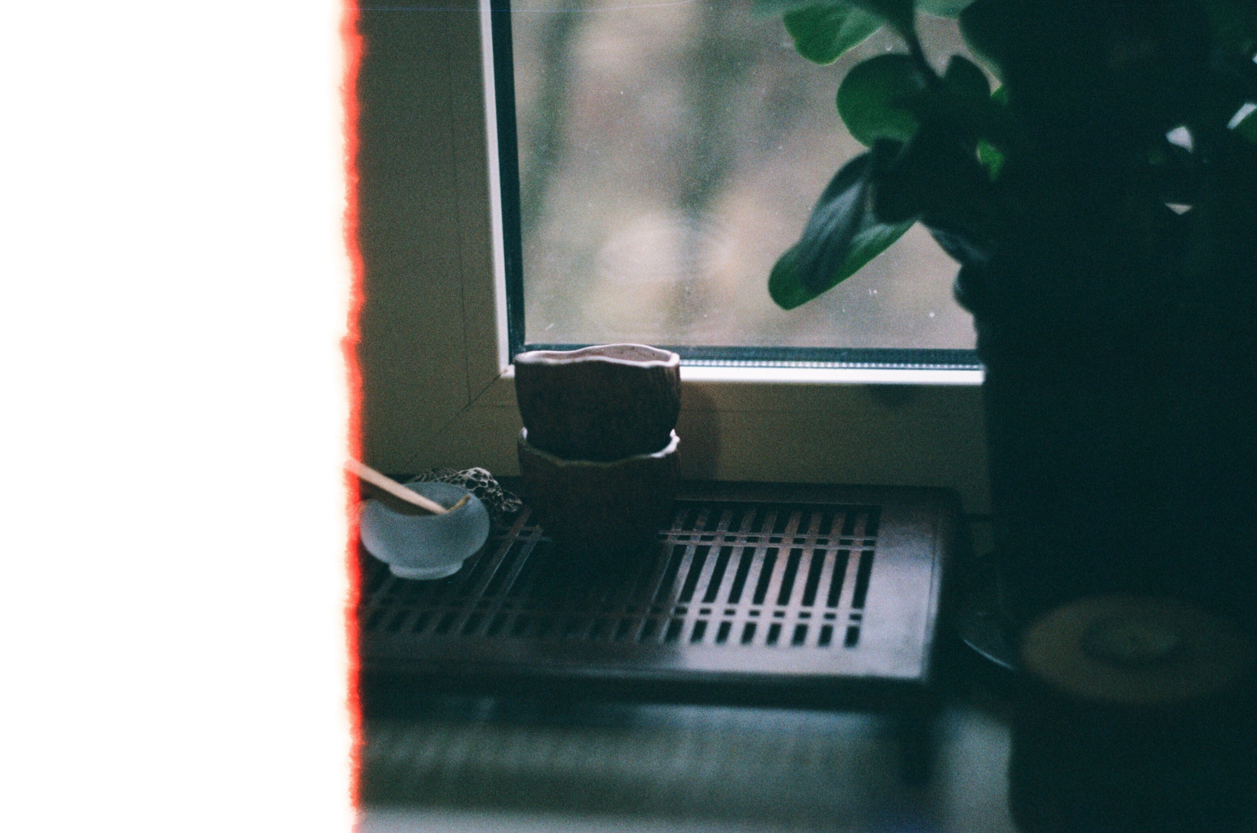 Пленка 🎞. Anita_photo