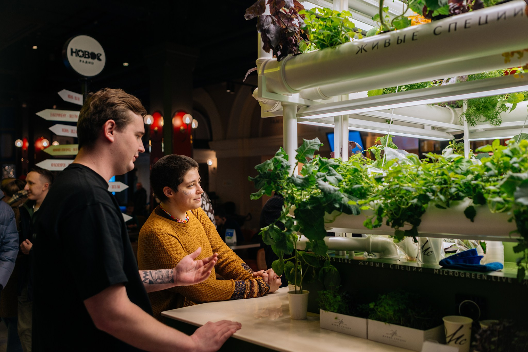 ЖИВЫЕ СПЕЦИИ. Микрозелень и Съедобные цветы. Репортажный фотограф в Санкт-Петербурге Анастасия Клёпова