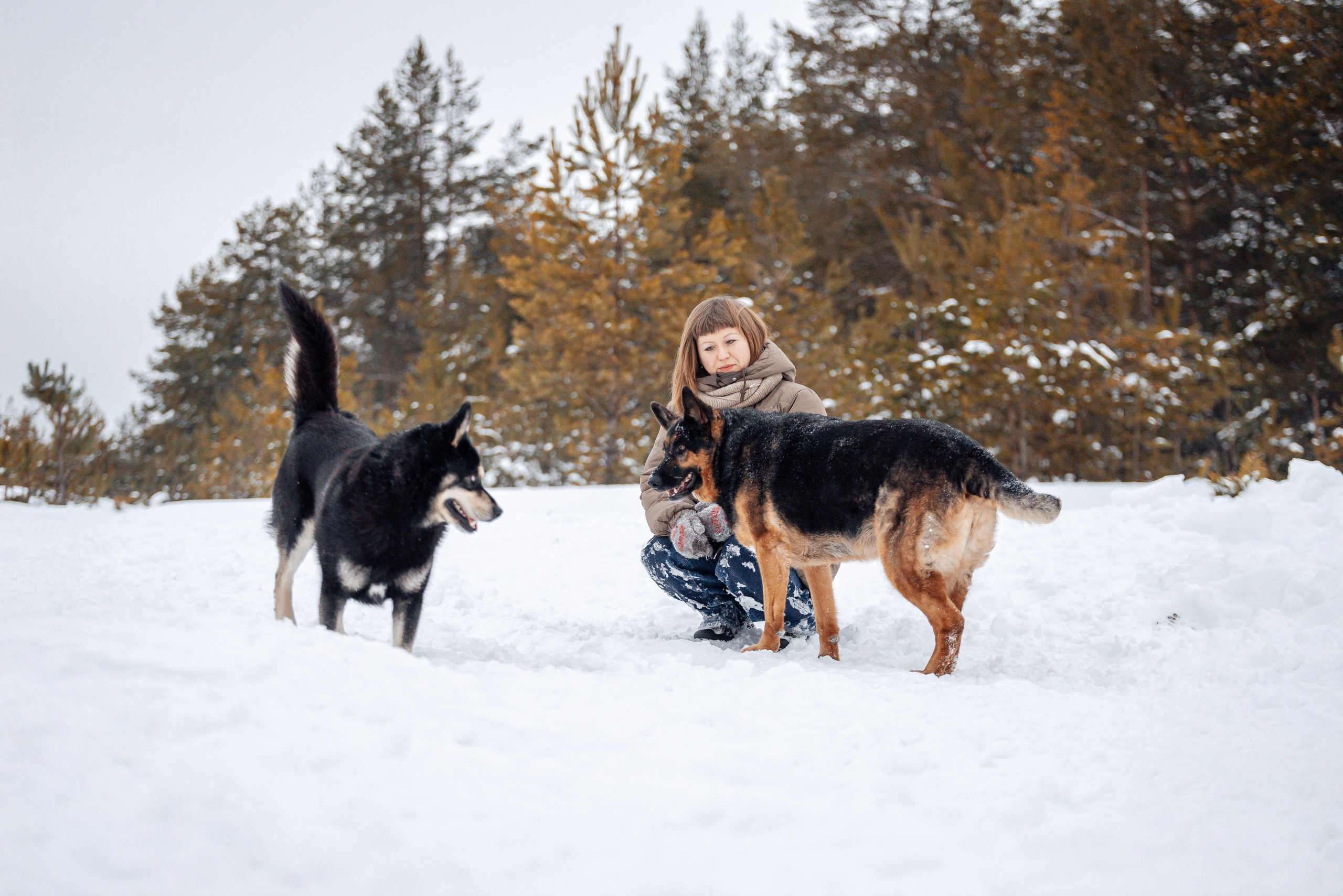 Светлана, Альфа и кошки ✨. Фотограф-анималист Анастасия Парфенова|Екатеринбург