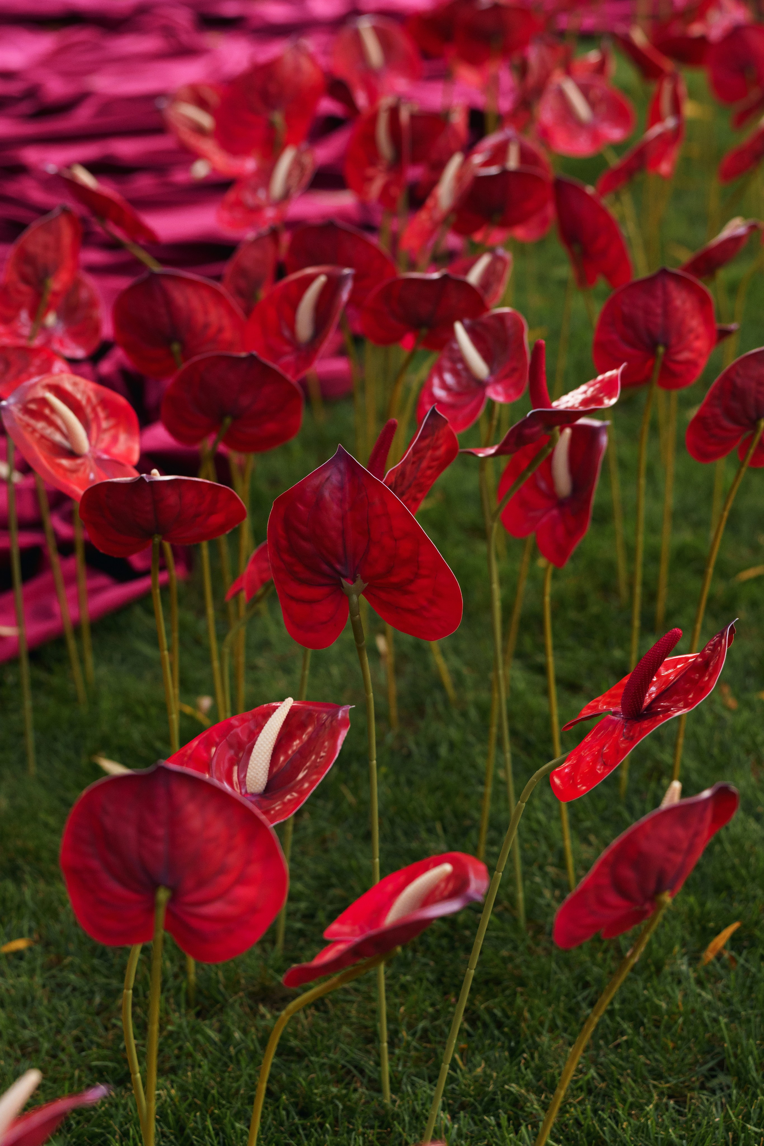 Karina | Anton. Свадебный фотограф в Ростовe-на-Дону Анастасия Прутова