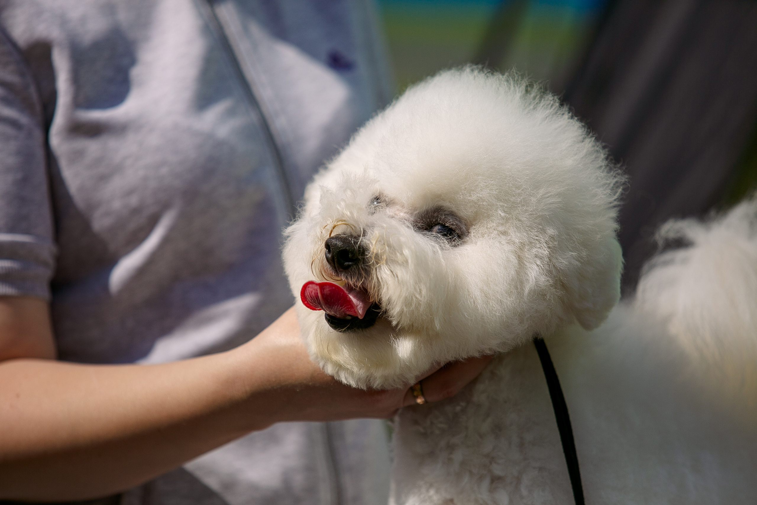 Окунулась вновь в атмосферу выставки…. Школьный фотограф в Туле Светлана Привезенцева