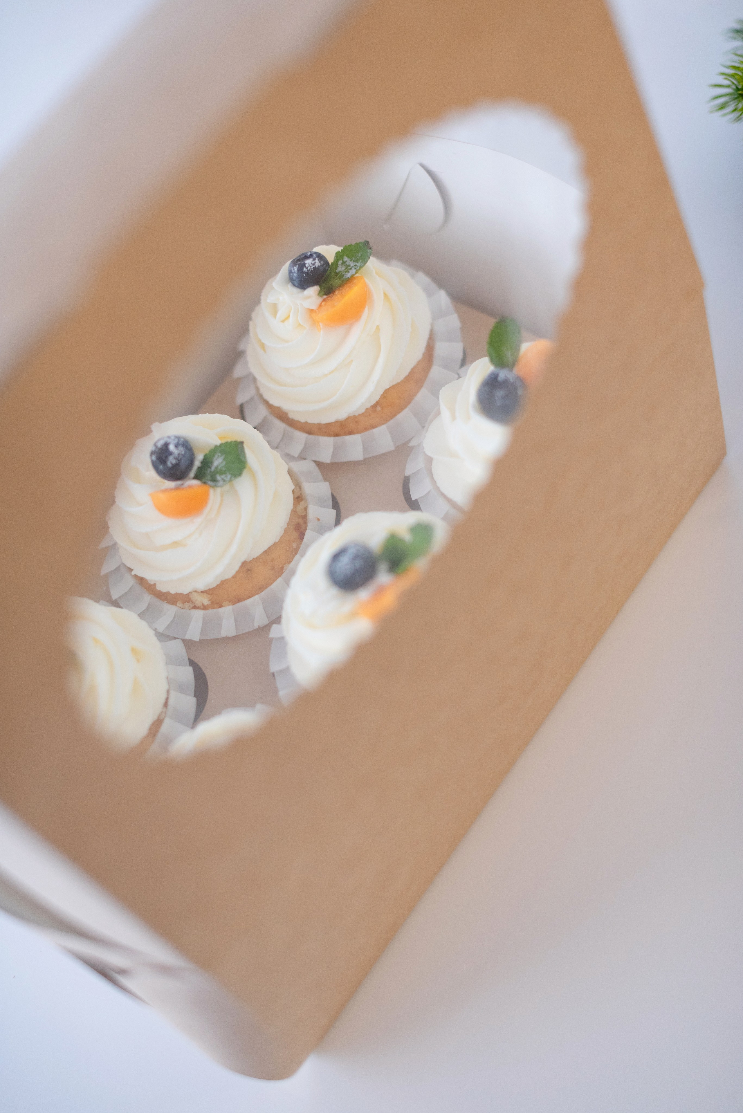 Контент съёмка в Сургуте