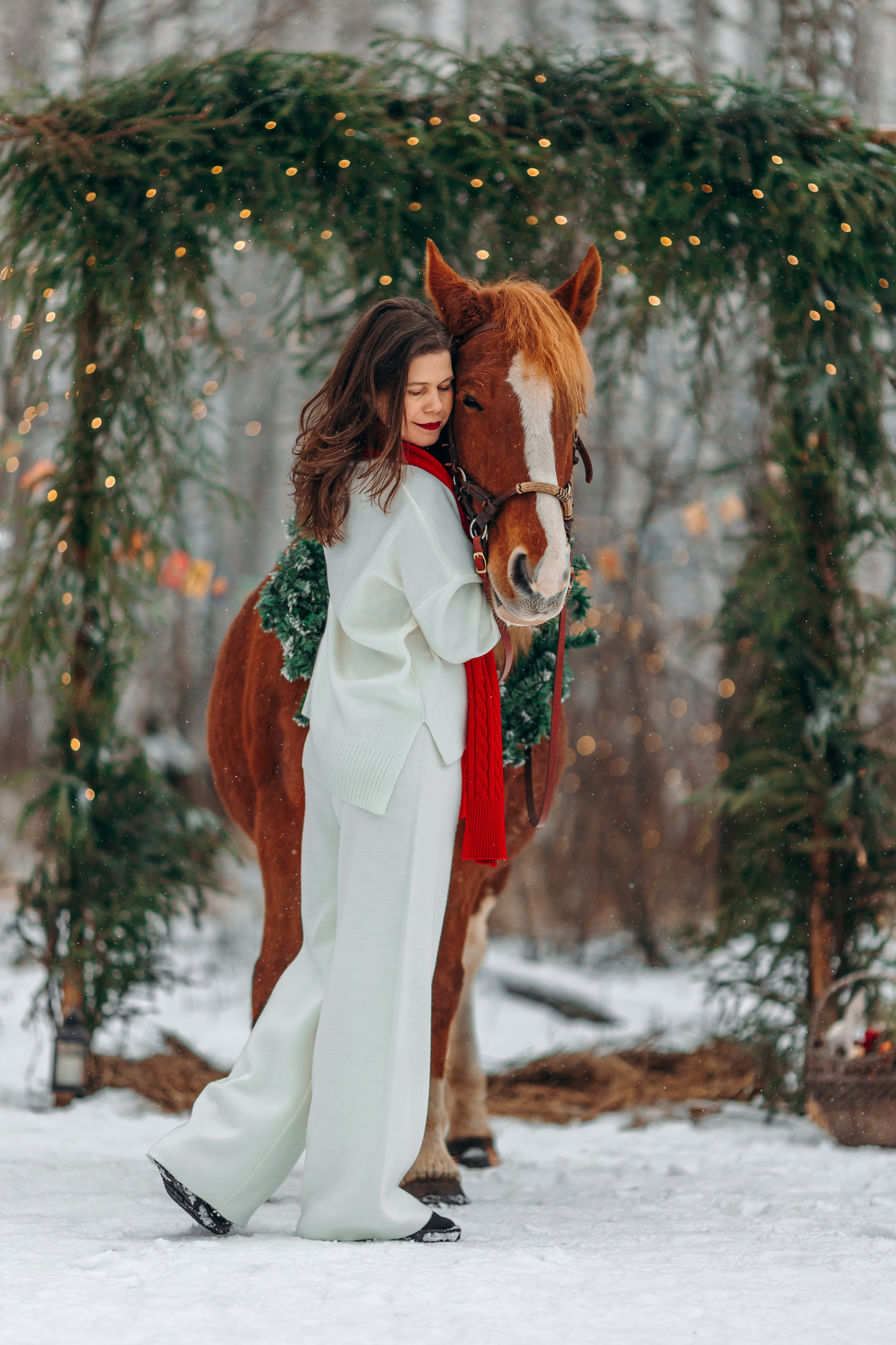 Тариф Новогодний 2025-2026. Анна Молчанова конный фотограф в Тюмени | фотосессии с лошадьми Тюмень