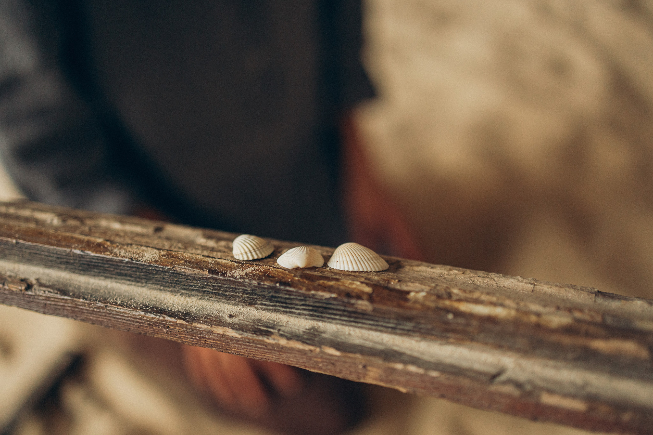 Вика и Миша. Семейный фотограф В Москве Александра Дейкун