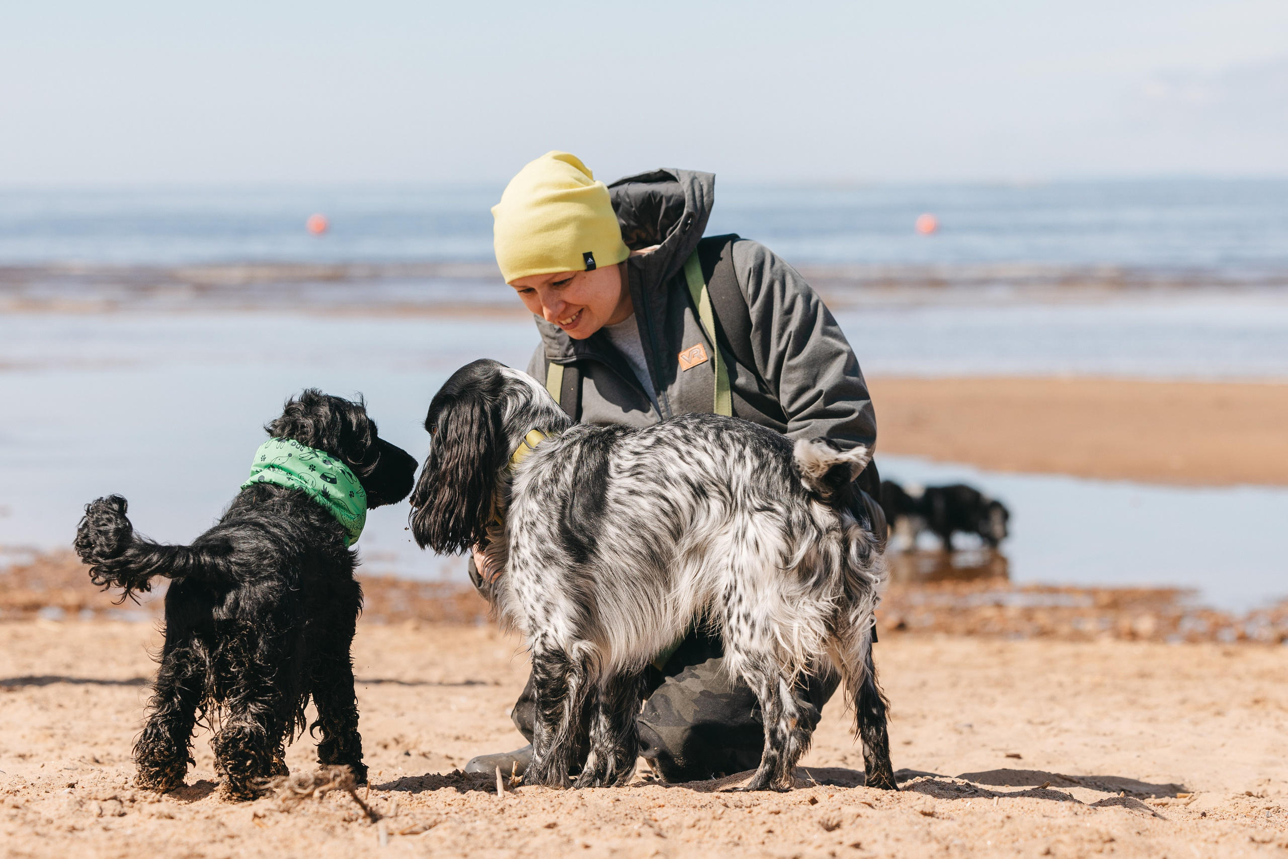 Спанимания. Фотограф анималист Осипчикова Мария