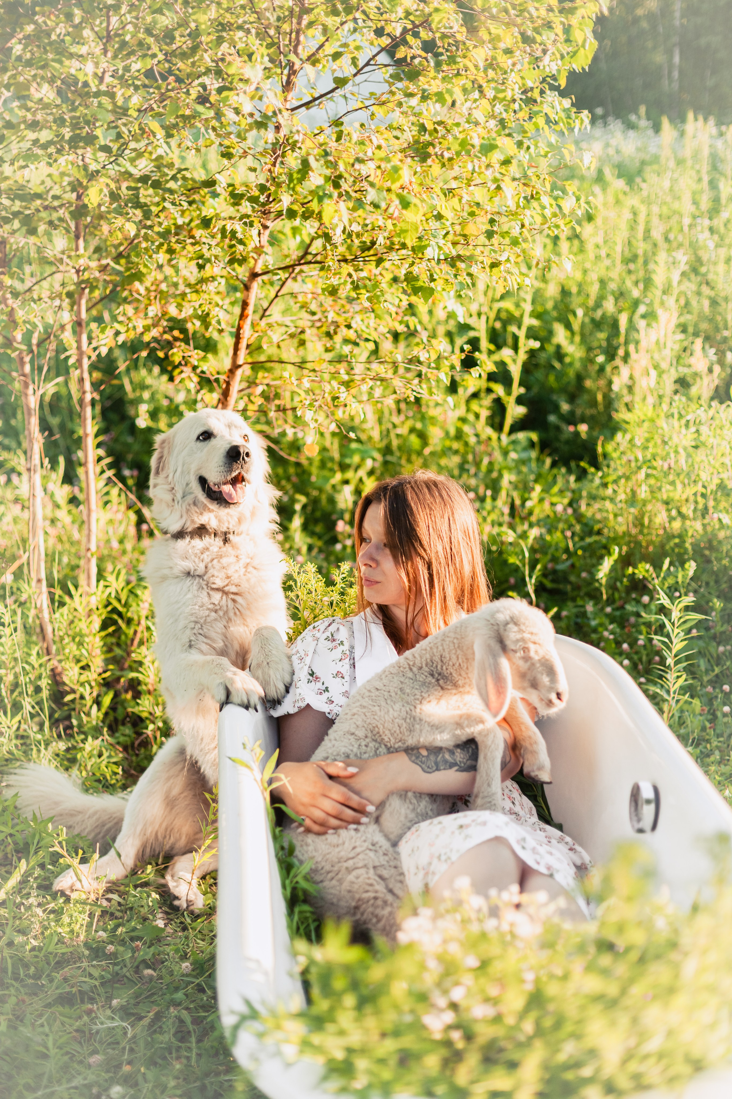 Ванна в поле. Фотограф-анималист Татьяна Степанова