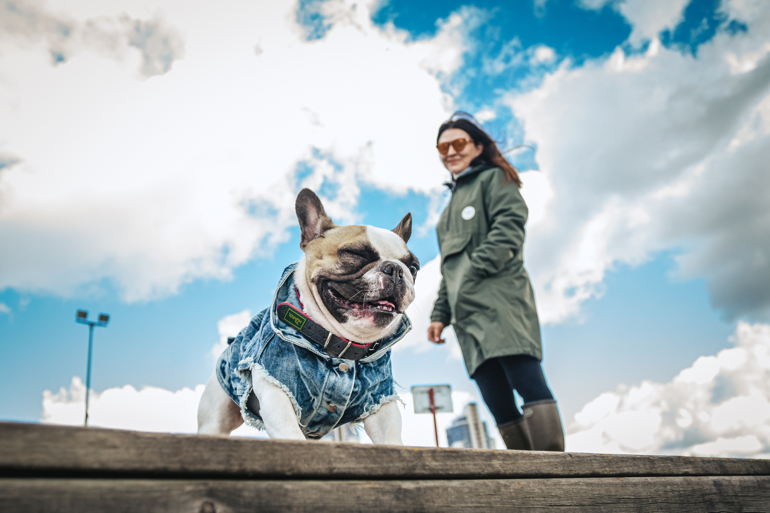 Фотограф-анималист Татьяна Степанова