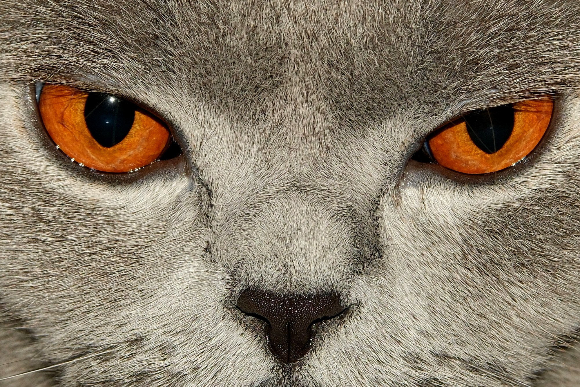 Улица, люди, жизнь…