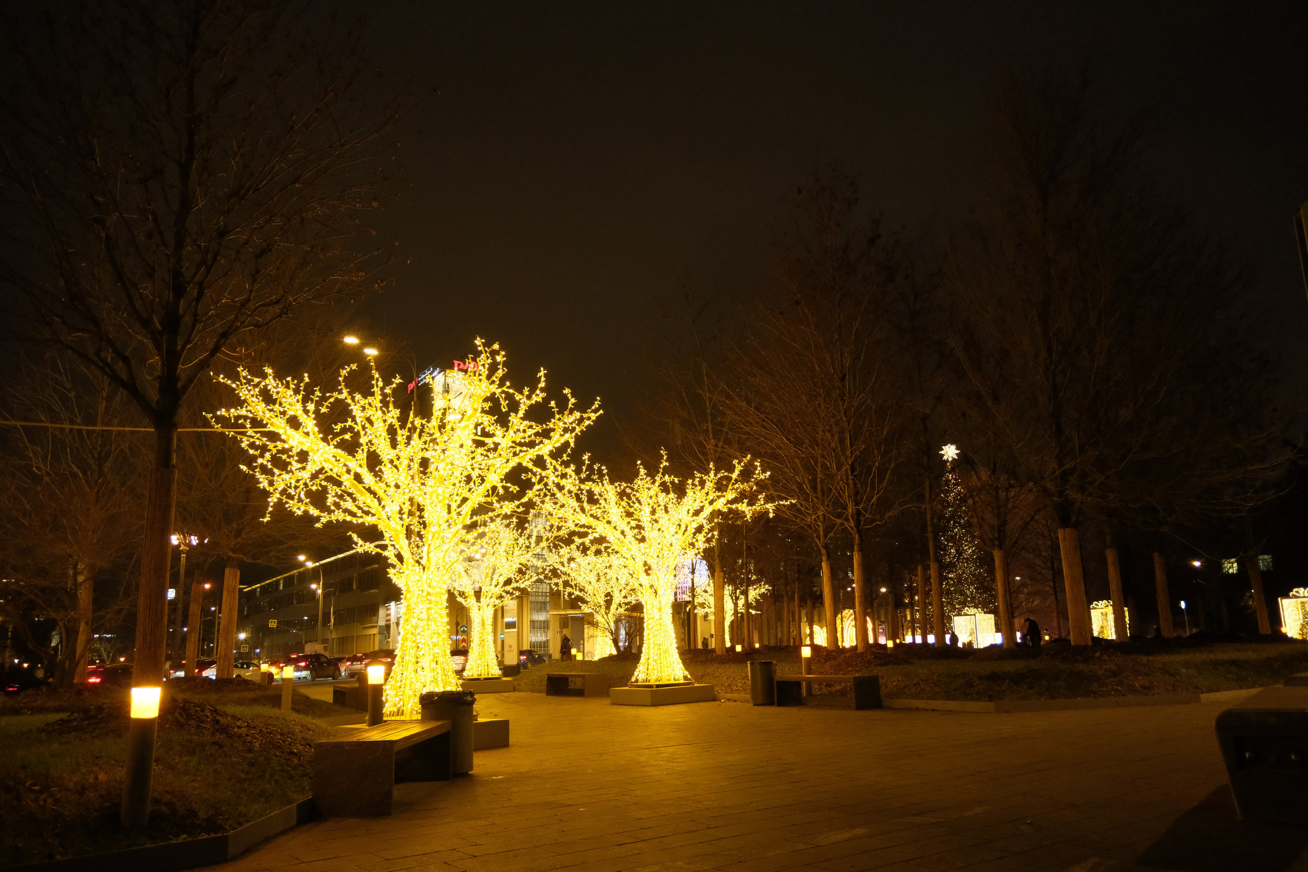 Вечерний город. Улица, люди, жизнь…