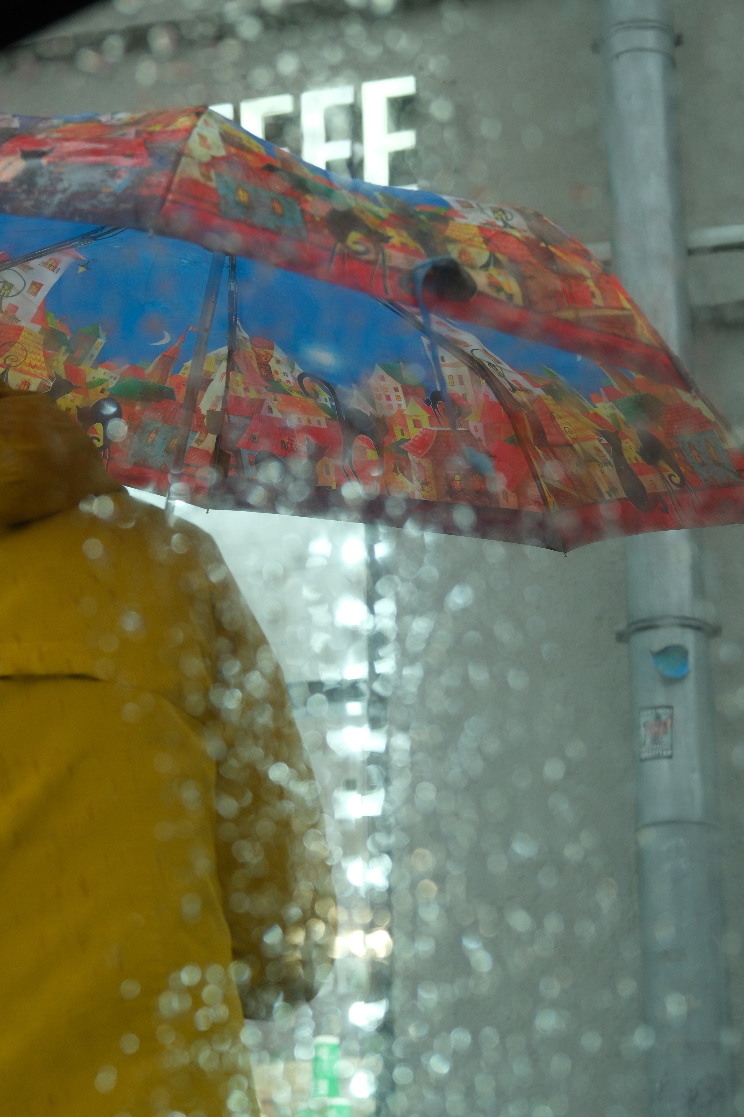 Улица, люди, жизнь…