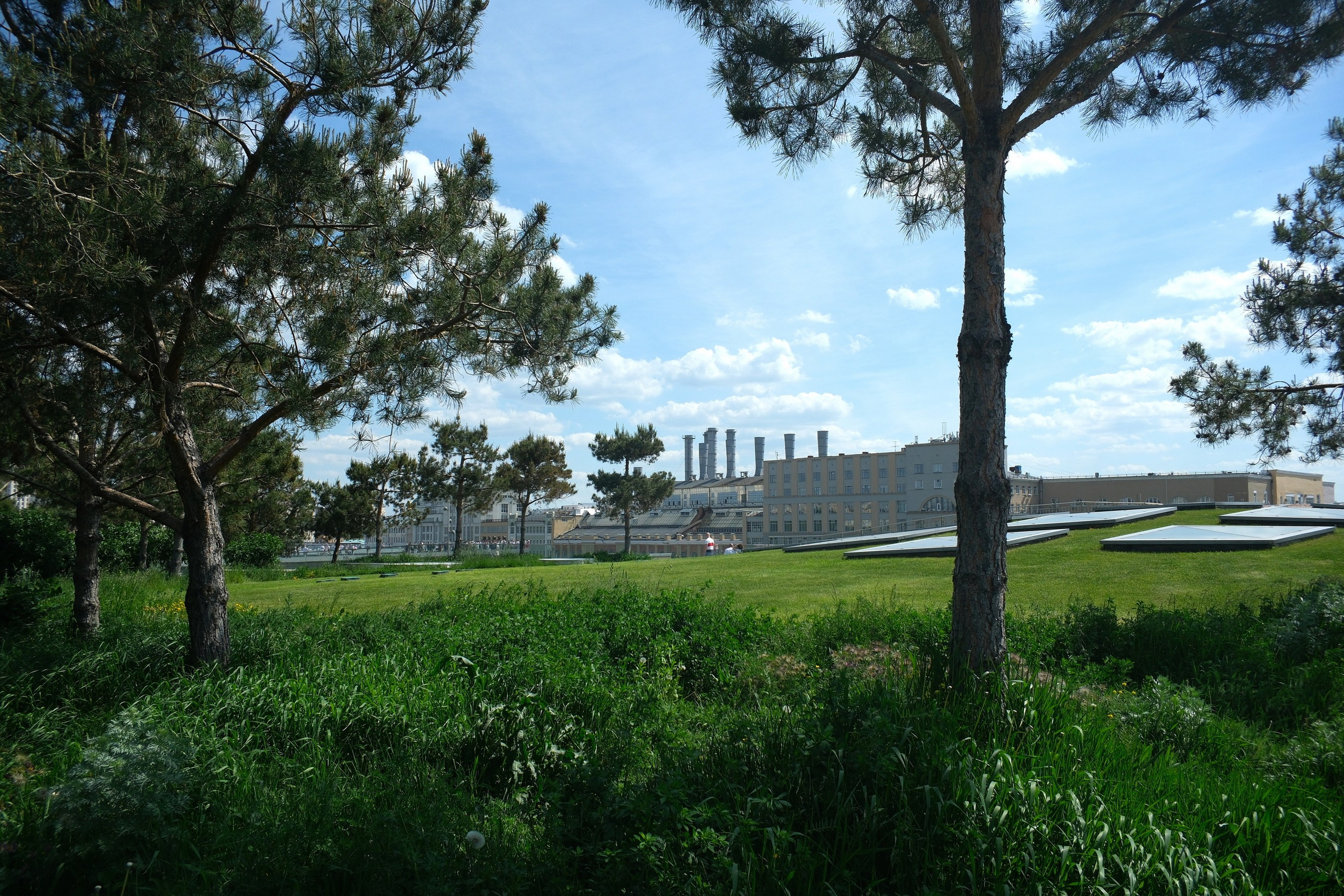 По Москве 25.05.2025. Улица, люди, жизнь…