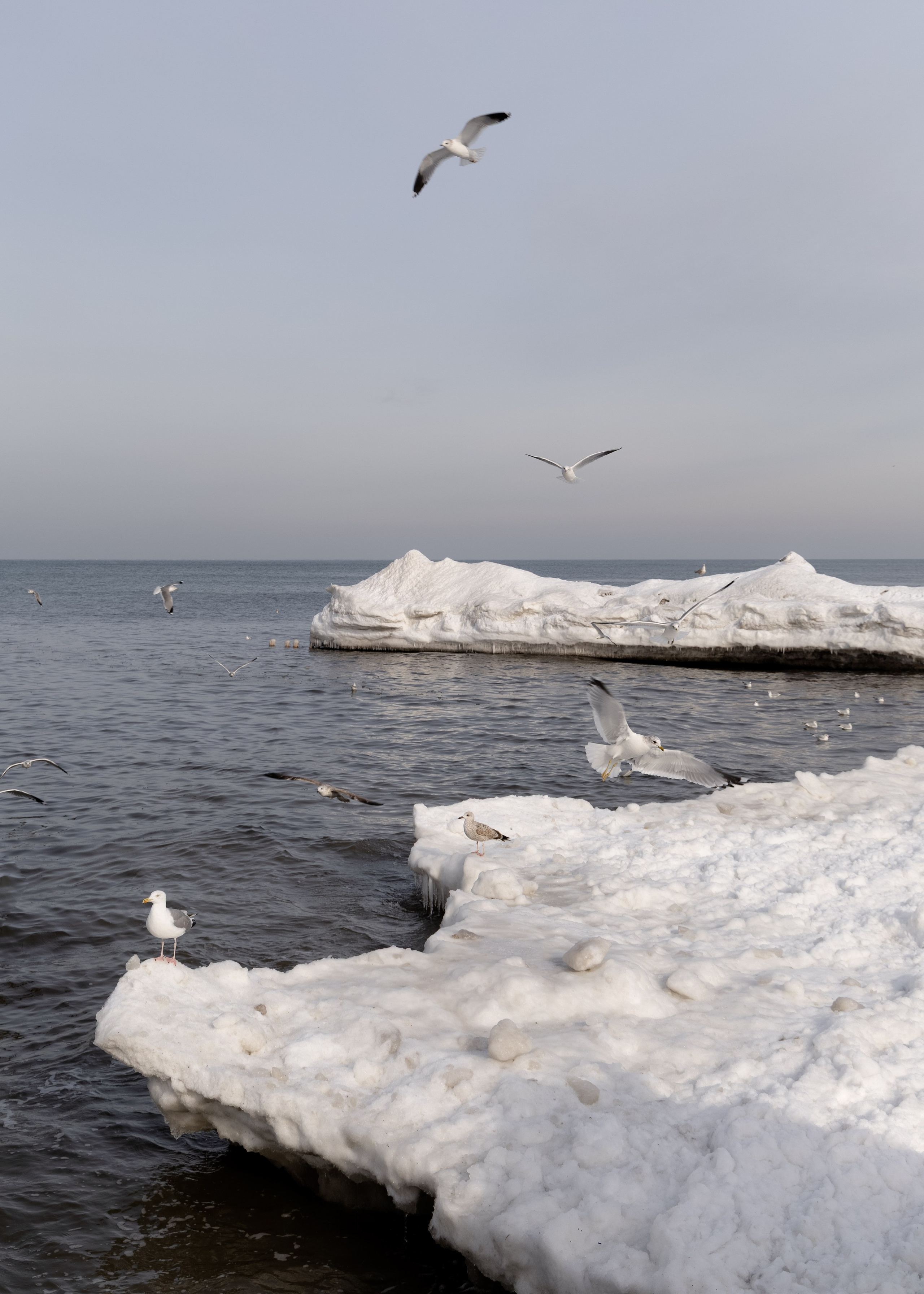 Свадьба Елизавета & Артем | Зимняя Балтика. Фотограф в Калининграде Сокирко Светлана