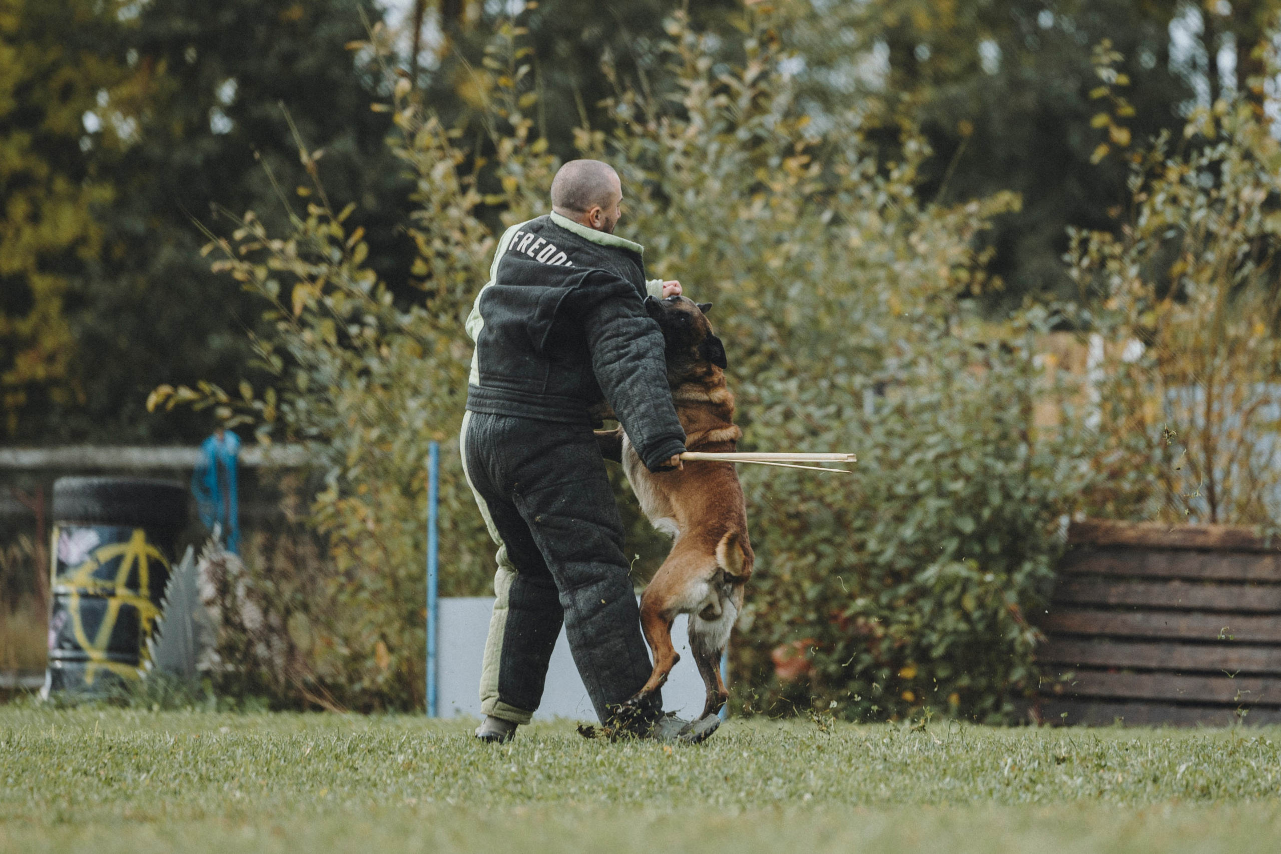 Испытания по мондьорингу г. Пушкин 29.09.2024. Фотограф-анималист Анна Маринич