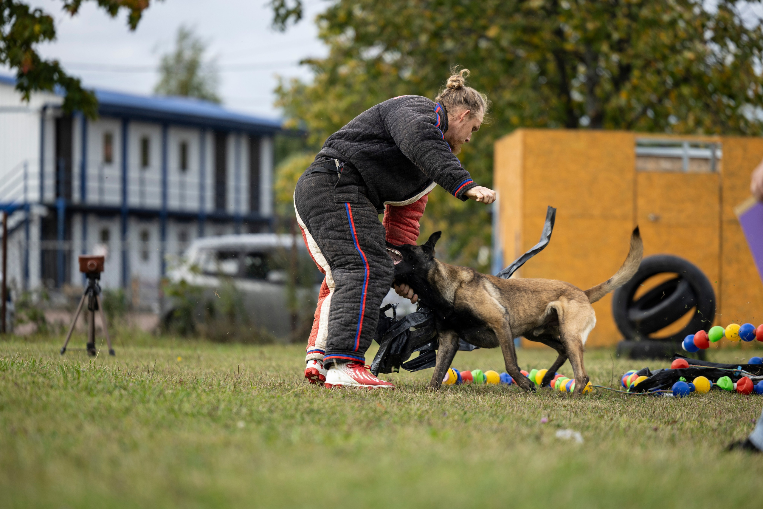 Испытания по Мондьорингу г. Пушкин. Фотограф-анималист Анна Маринич