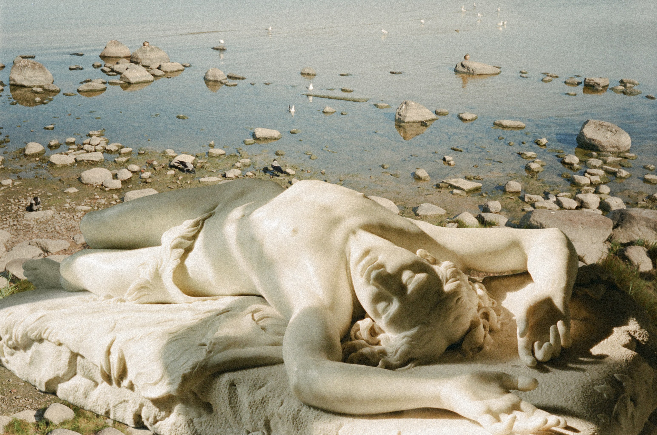 Автор: Софья Самсонова